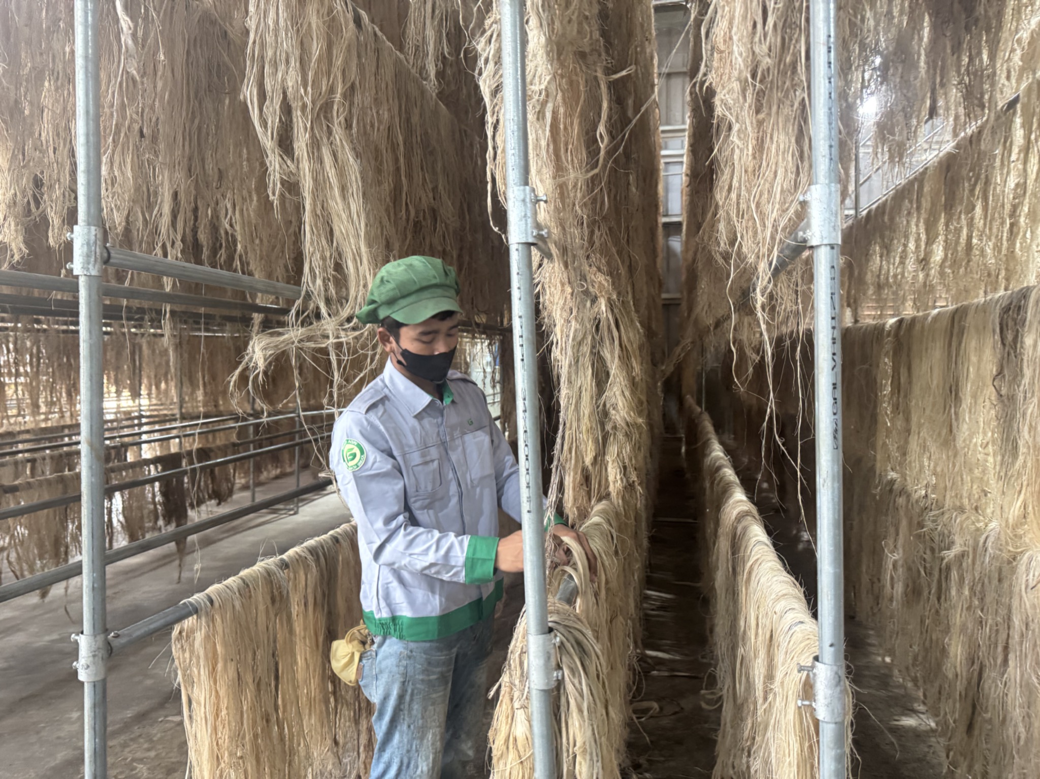 Tỉ ph&uacute; Trần B&aacute; Dương biến chuối phế thải th&agrave;nh sợi vải như thế n&agrave;o? - Ảnh 6.