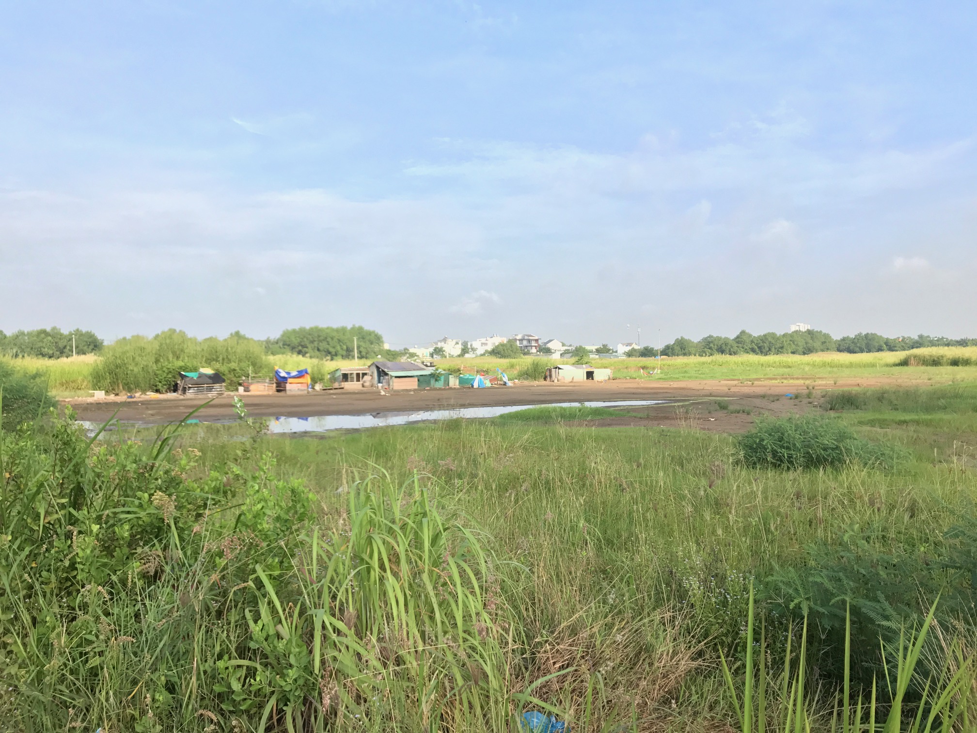 7 hành vi vi phạm đất đai có thể bị khởi tố, người dân cần nắm rõ- Ảnh 1.