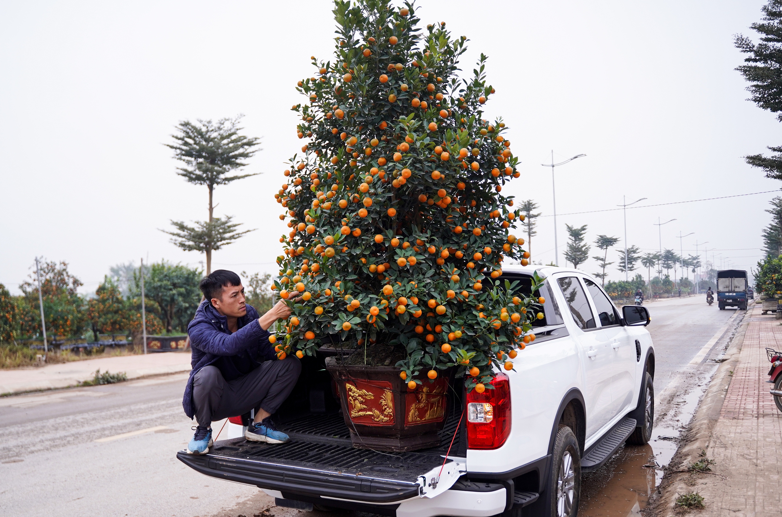 Bất ngờ th&uacute; chơi bưởi trụi l&aacute; đ&oacute;n tết - Ảnh 1.