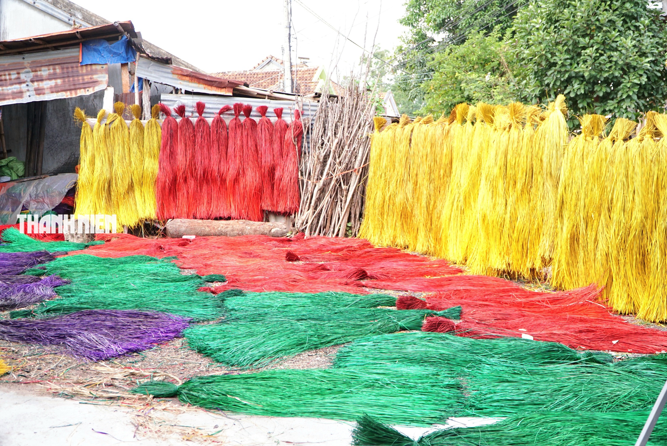 Làng dệt chiếu cói Phú Tân bên đầm Ô Loan giữ gìn nghề truyền thống trăm năm - Ảnh 2. Làng dệt chiếu cói Phú Tân bên đầm Ô Loan giữ gìn nghề truyền thống trăm năm - Ảnh 2.