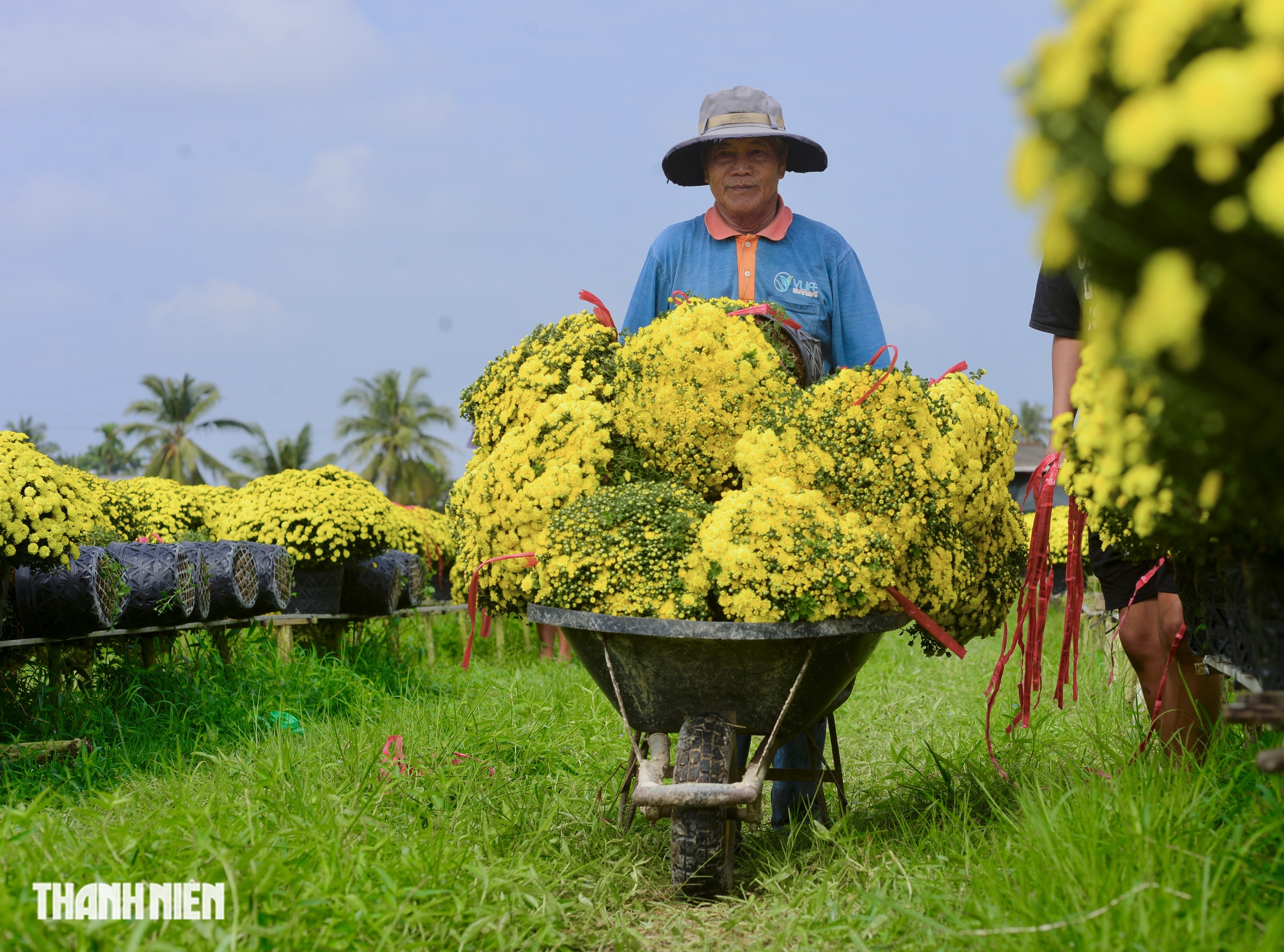 Ai đã 'giải cứu' hơn 4.000 chậu hoa tết nở sớm trong vòng 1 ngày? - Ảnh 4.