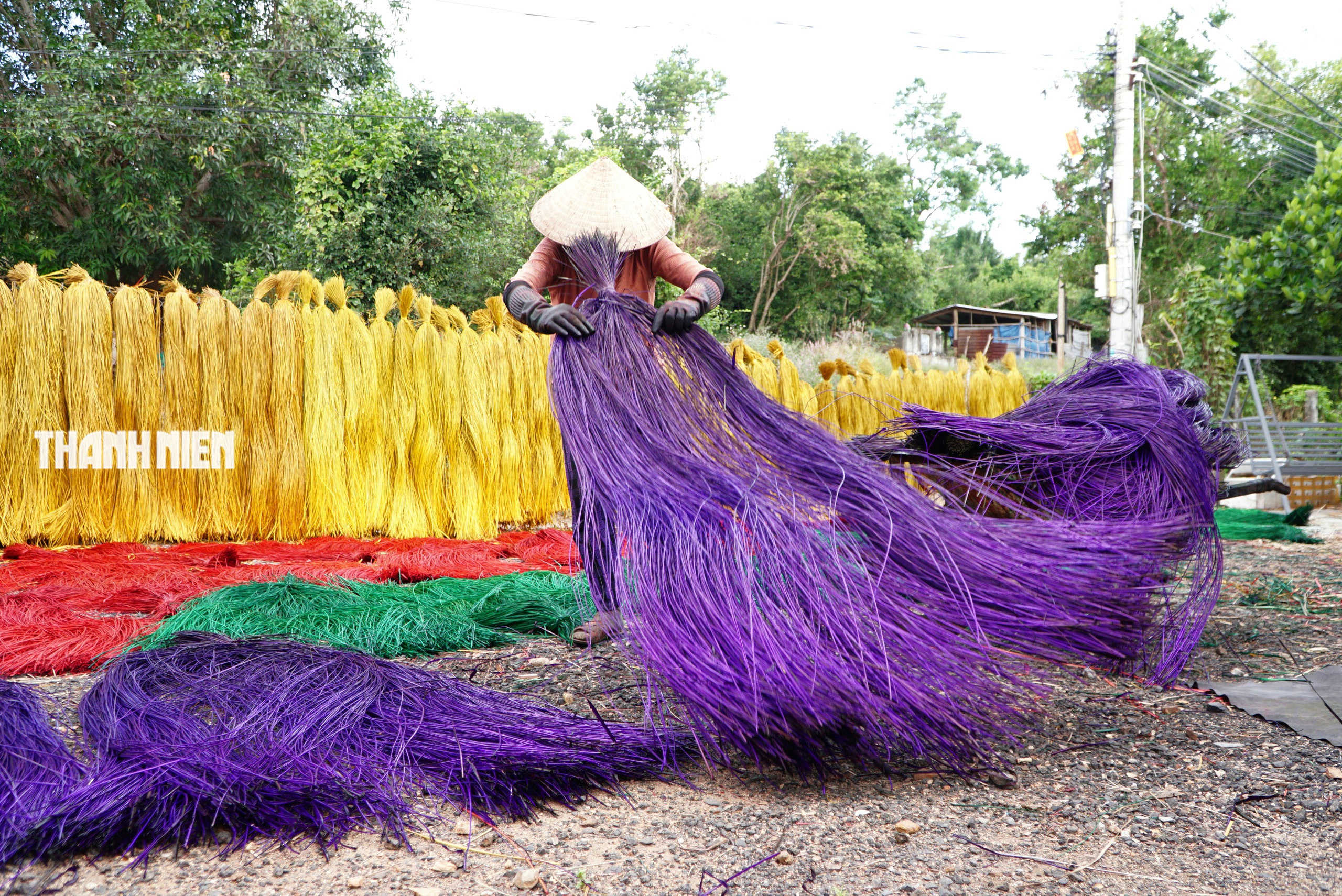 Làng dệt chiếu cói Phú Tân bên đầm Ô Loan giữ gìn nghề truyền thống trăm năm - Ảnh 12. Làng dệt chiếu cói Phú Tân bên đầm Ô Loan giữ gìn nghề truyền thống trăm năm - Ảnh 12.