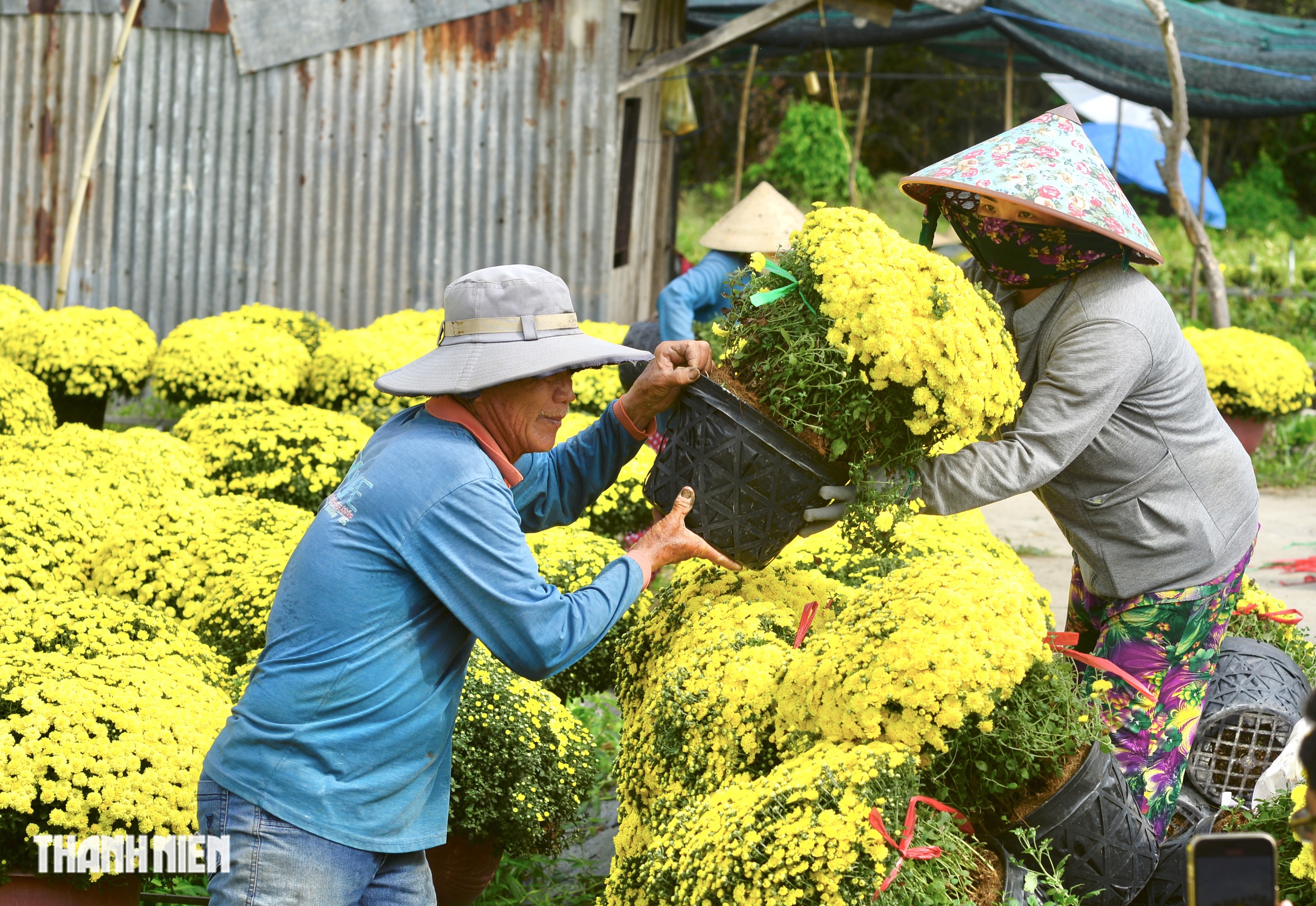 Ai đã 'giải cứu' hơn 4.000 chậu hoa tết nở sớm trong vòng 1 ngày? - Ảnh 2.