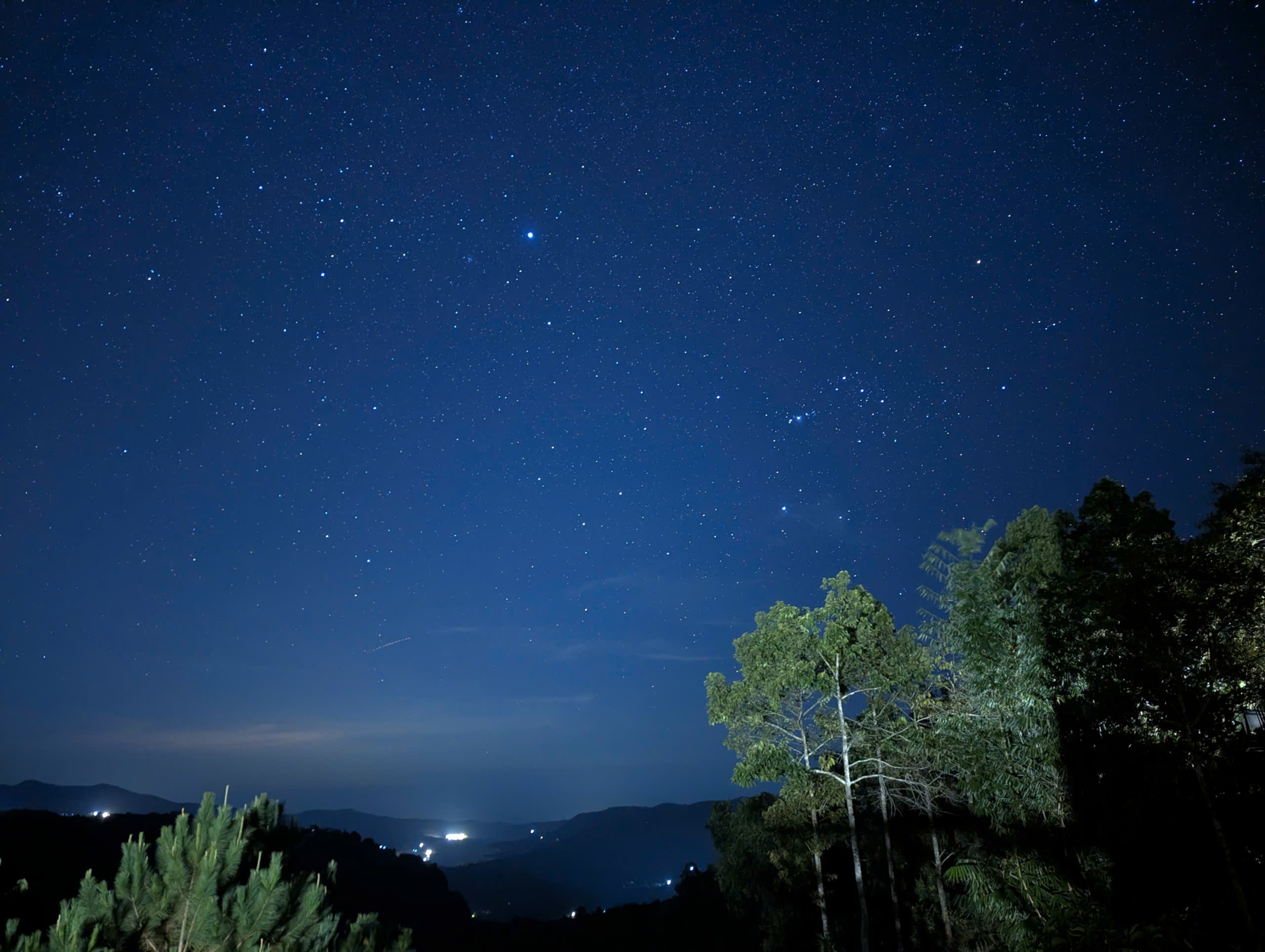 'Vườn thú lớn nhất bầu trời': Trước tết, nhiều người TP.HCM vượt hàng trăm km để ngắm - Ảnh 2.