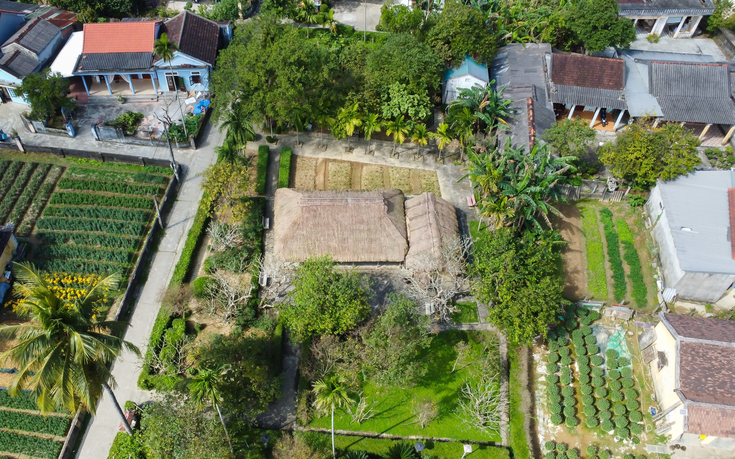 Ng&ocirc;i l&agrave;ng B&aacute;c Hồ từng sống ở Huế: B&igrave;nh y&ecirc;n khoe sắc trước thềm xu&acirc;n- Ảnh 15.