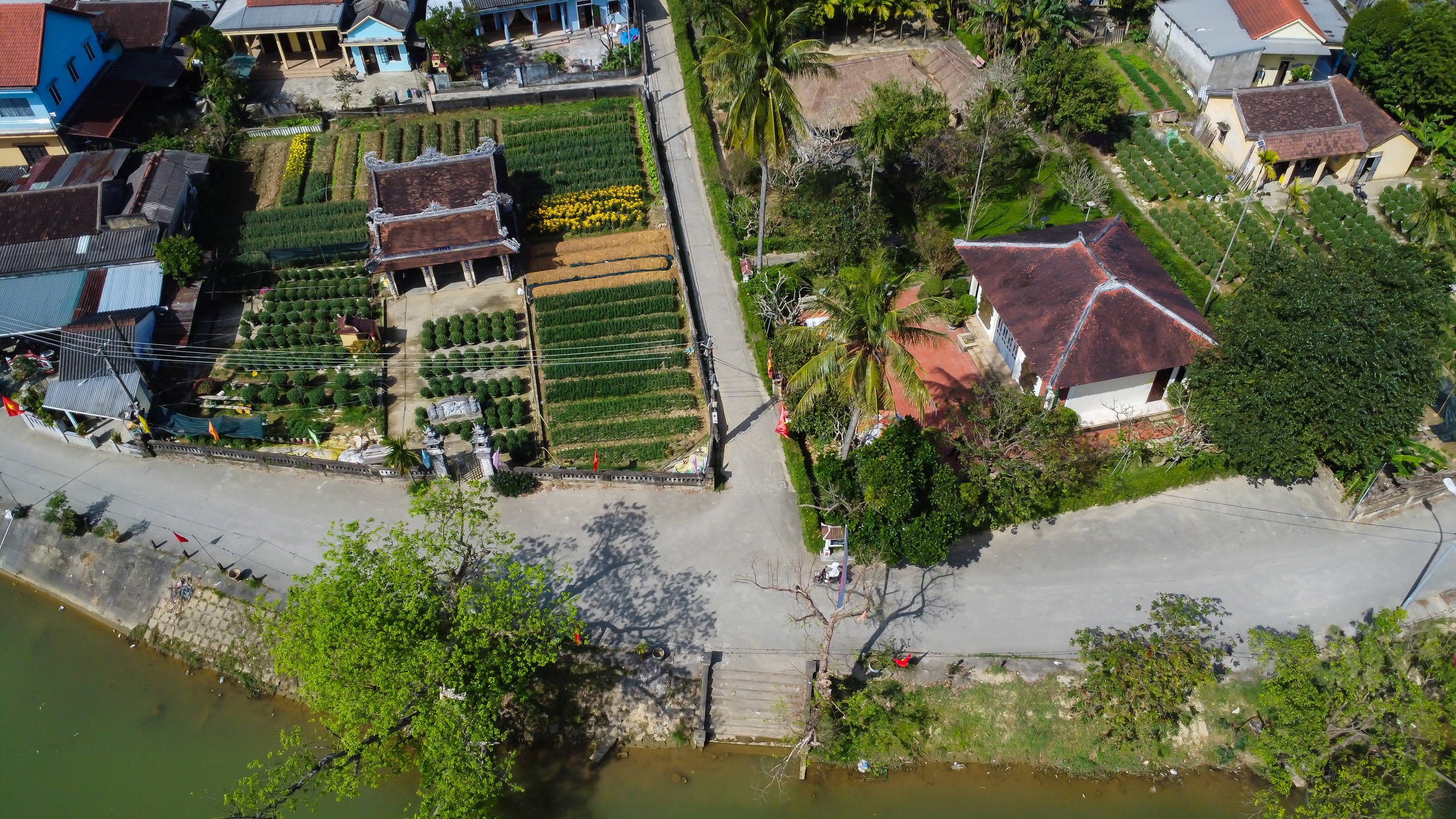 Ng&ocirc;i l&agrave;ng B&aacute;c Hồ từng sống ở Huế: B&igrave;nh y&ecirc;n khoe sắc trước thềm xu&acirc;n- Ảnh 10.