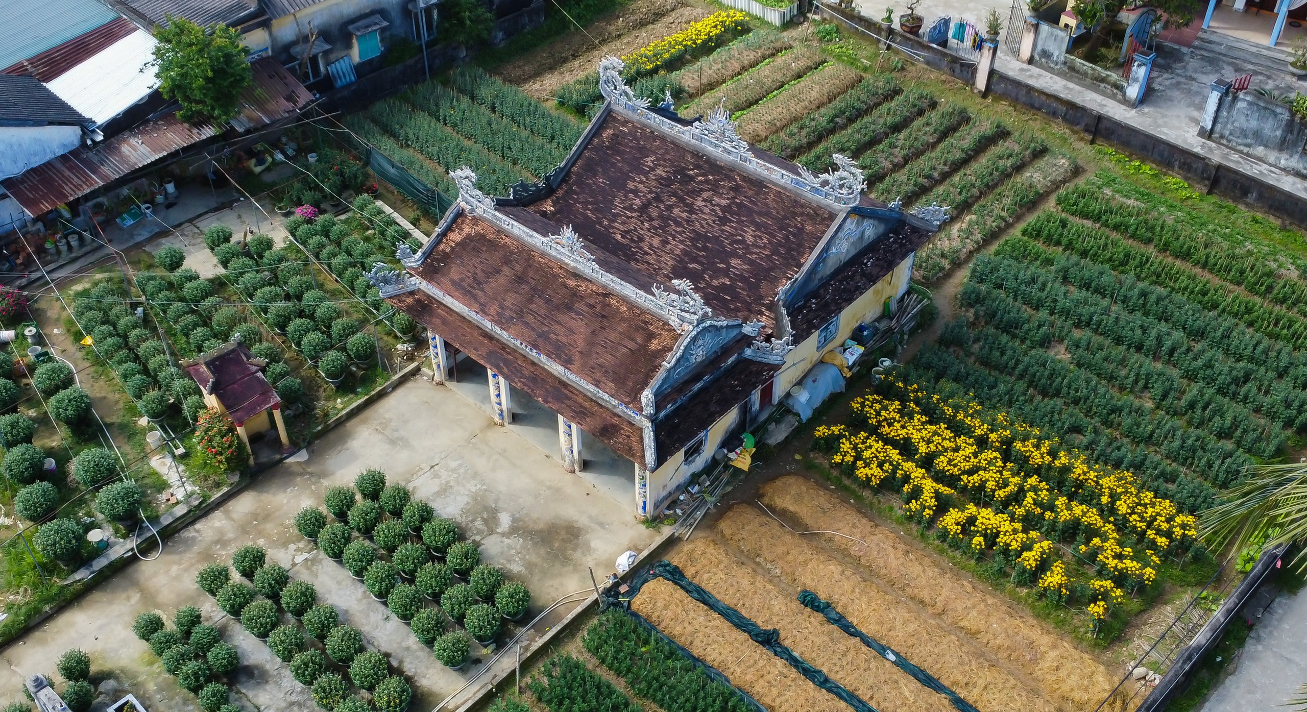 Ng&ocirc;i l&agrave;ng B&aacute;c Hồ từng sống ở Huế: B&igrave;nh y&ecirc;n khoe sắc trước thềm xu&acirc;n- Ảnh 8.