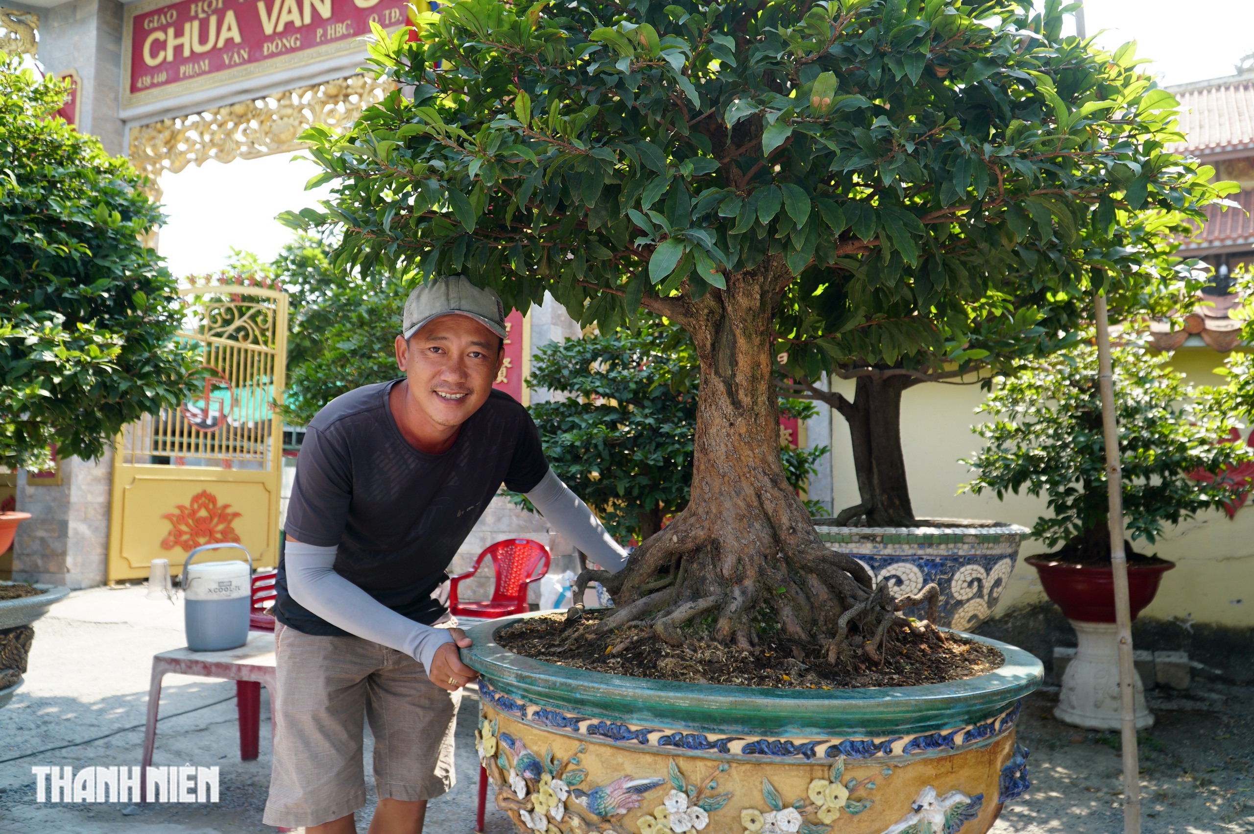 Mai tết đường Phạm Văn Đồng: &ldquo;Chậu mai 300 triệu, kh&aacute;ch trả 240 triệu vẫn chưa b&aacute;n&rsquo; - Ảnh 7.