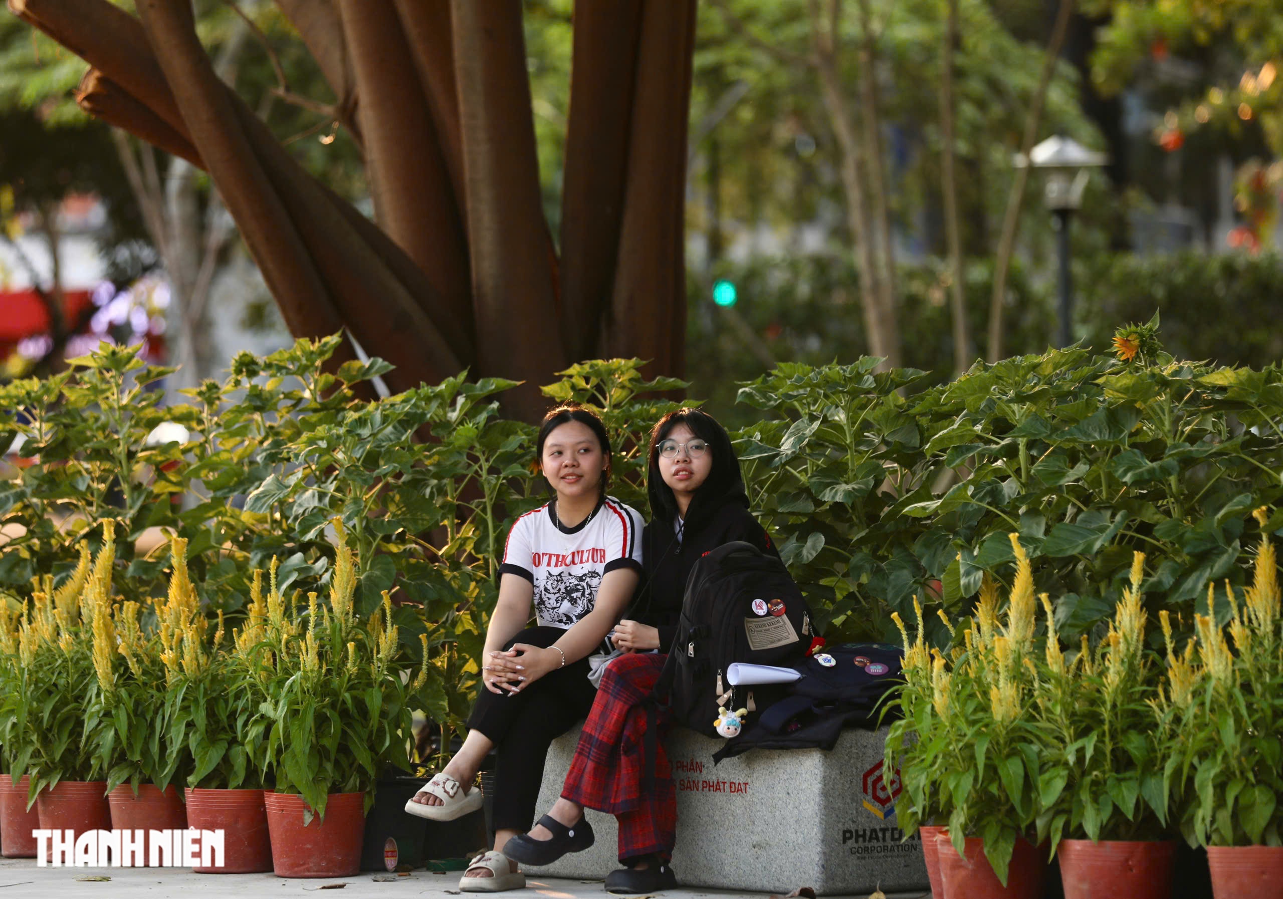 C&ocirc;ng vi&ecirc;n khu đất v&agrave;ng tp.Hcm: Điểm đến hấp dẫn cho cộng đồng v&agrave; du kh&aacute;ch - Ảnh 3.