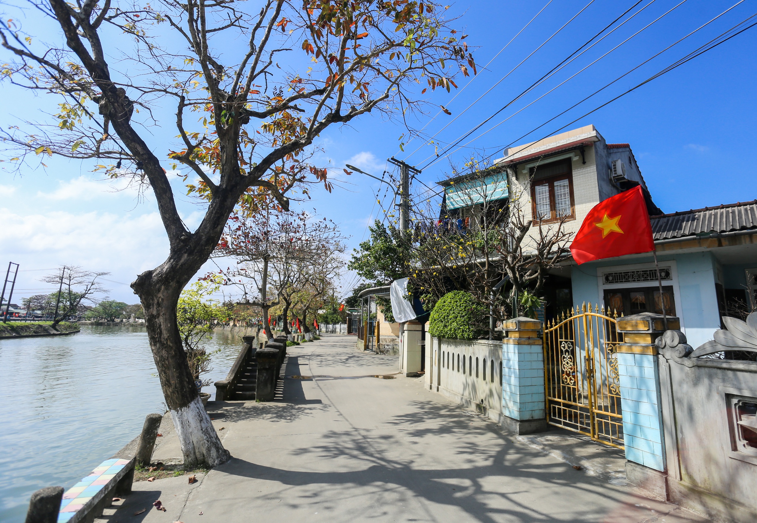 Ngôi làng Bác Hồ từng sống ở Huế: Bình yên khoe sắc trước thềm xuân- Ảnh 5.