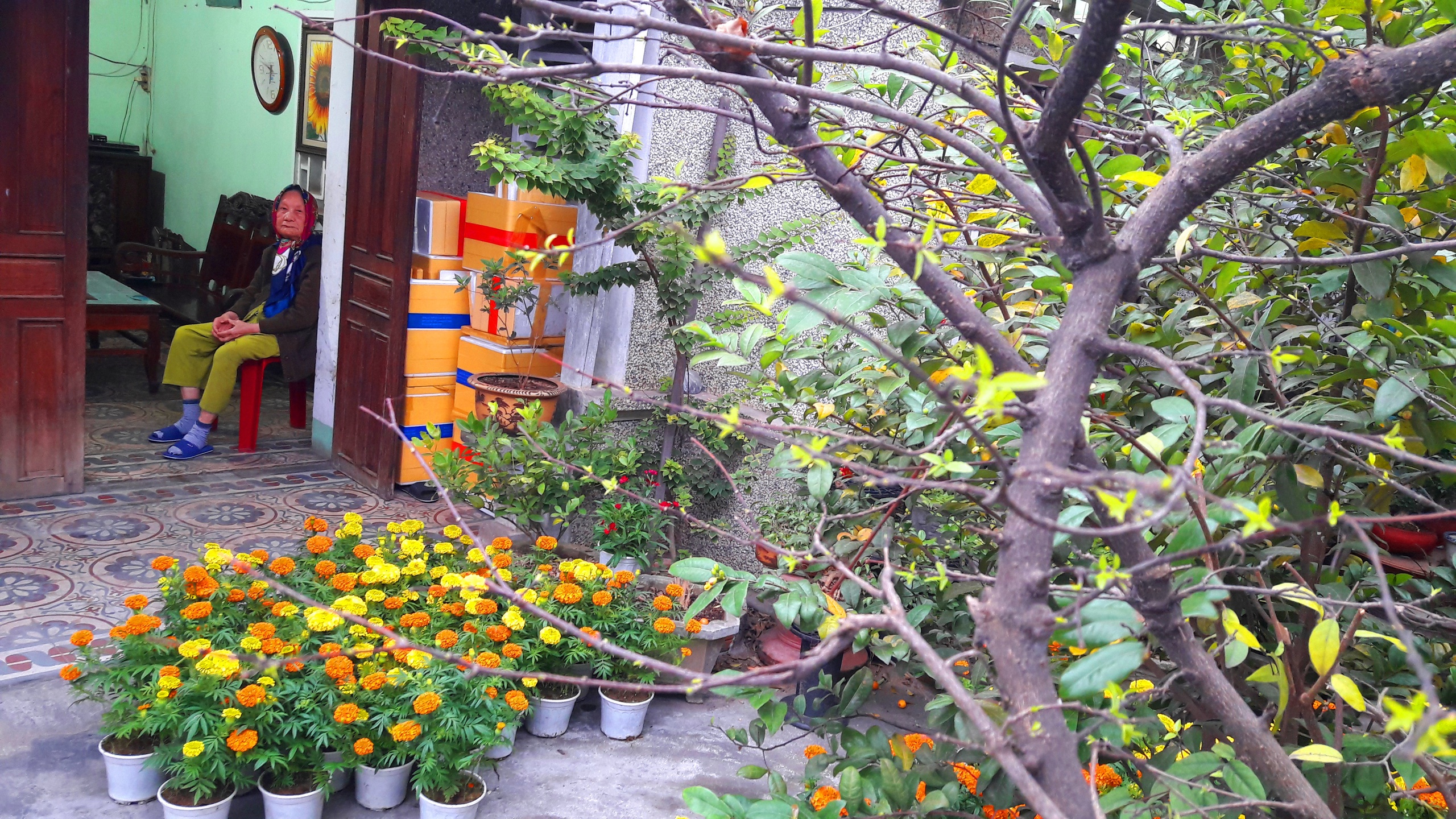 Hiểu tháng chạp để… hạp cả năm - Ảnh 3.