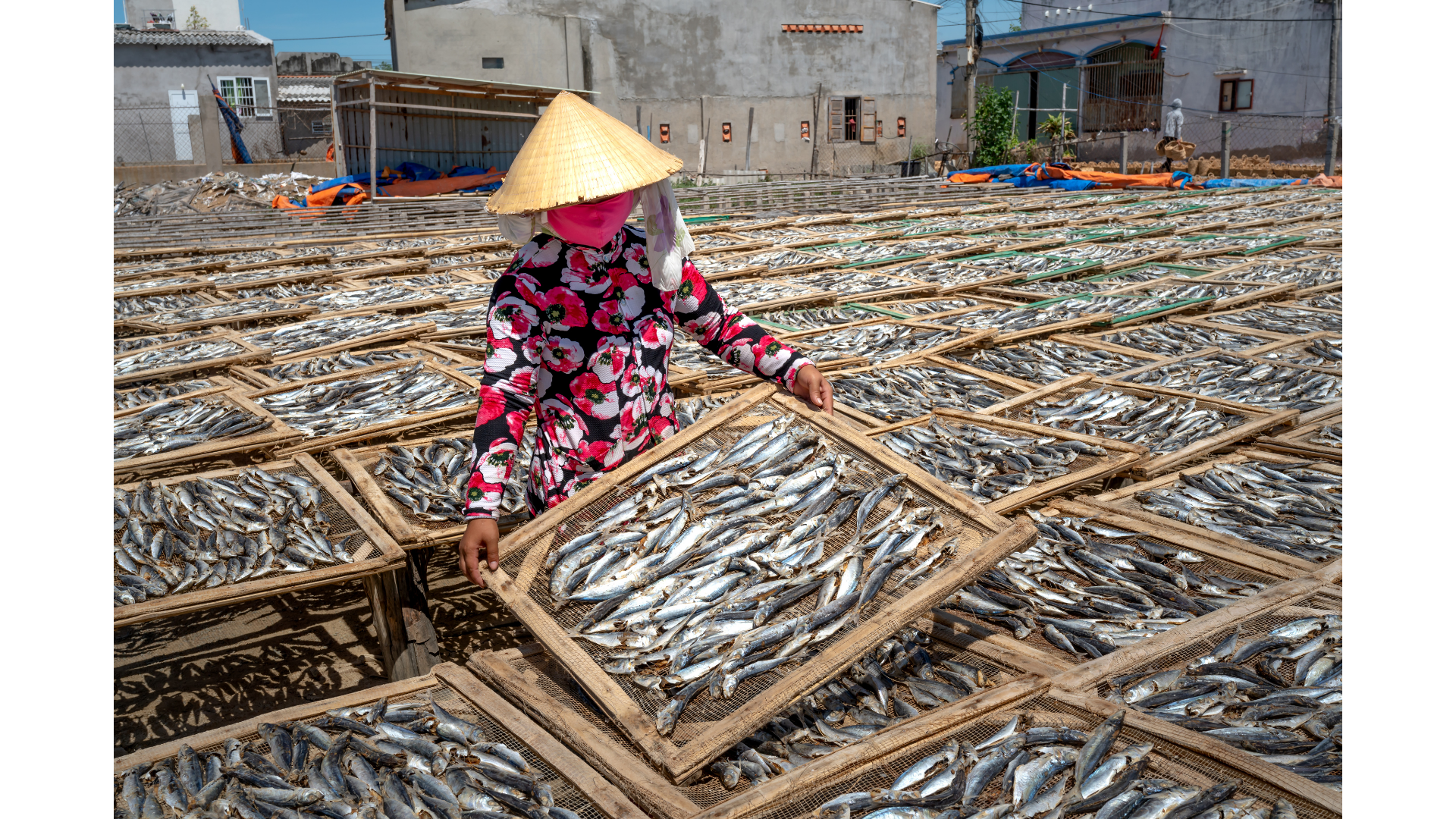 Nhóm người nào nên hạn chế ăn cá khô? - Ảnh 1.