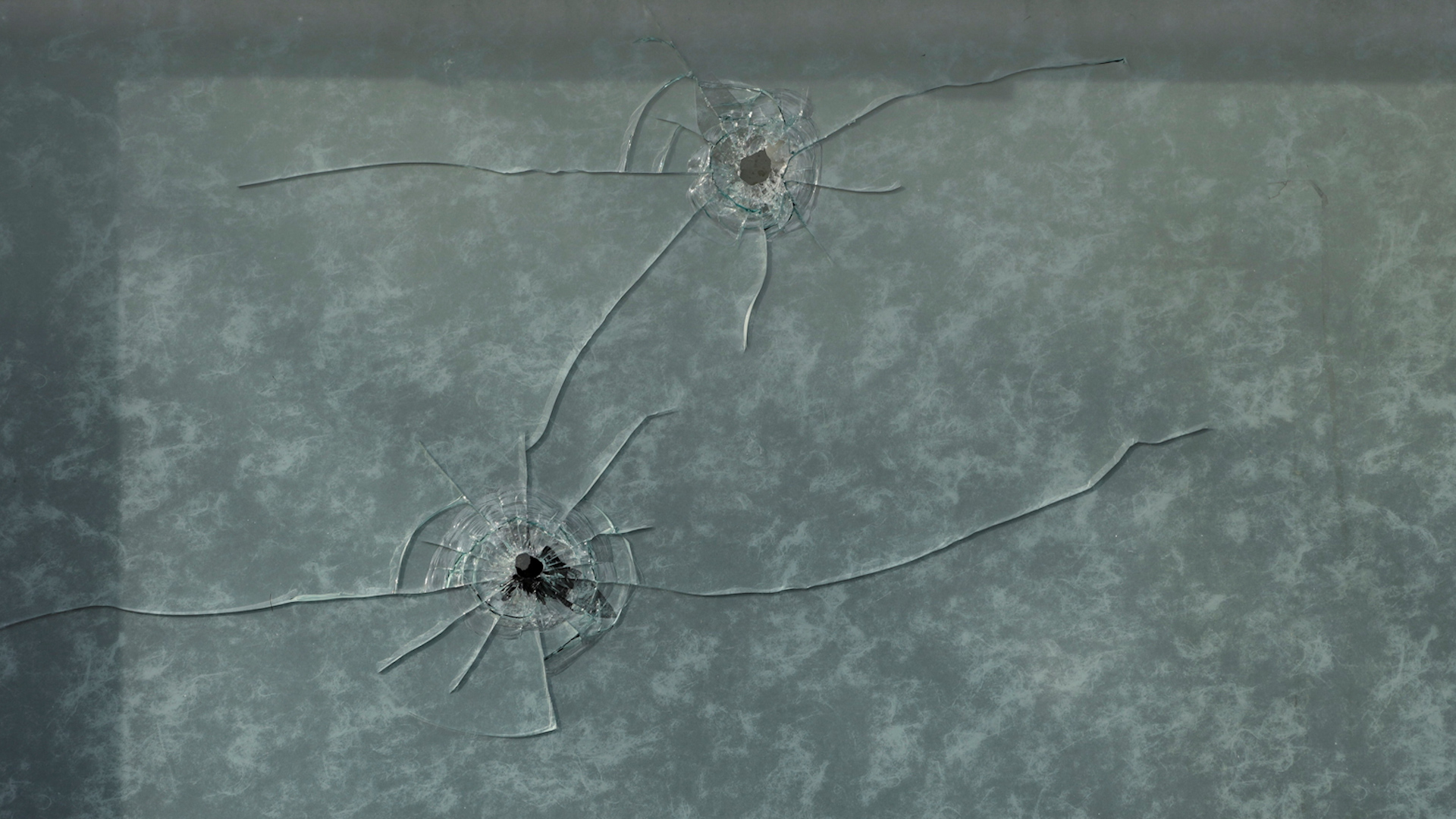 Vụ đặc vụ nhập cư bắn chết người Mỹ làm dậy sóng phản đối - Ảnh 1.