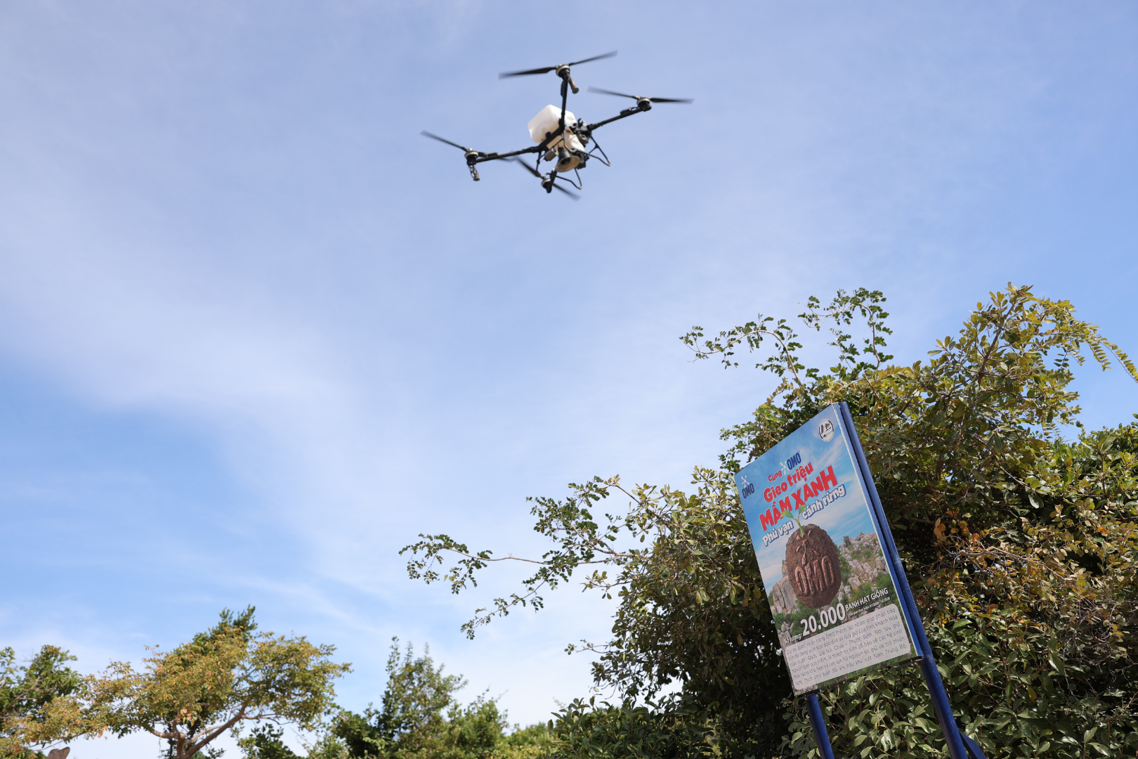 - Ảnh 2. - Ảnh 2.