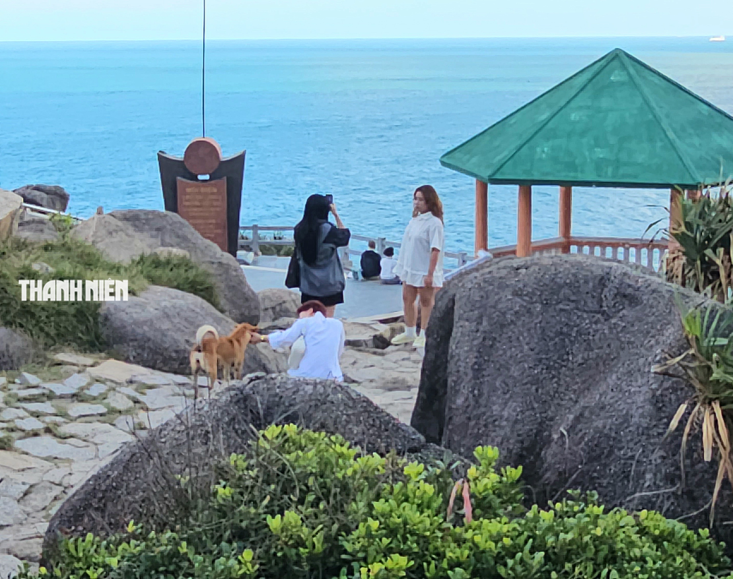 Chuyện về 'Bạn chó Vàng' 5 sao đặc biệt trên đỉnh Mũi Điện - Ảnh 4.