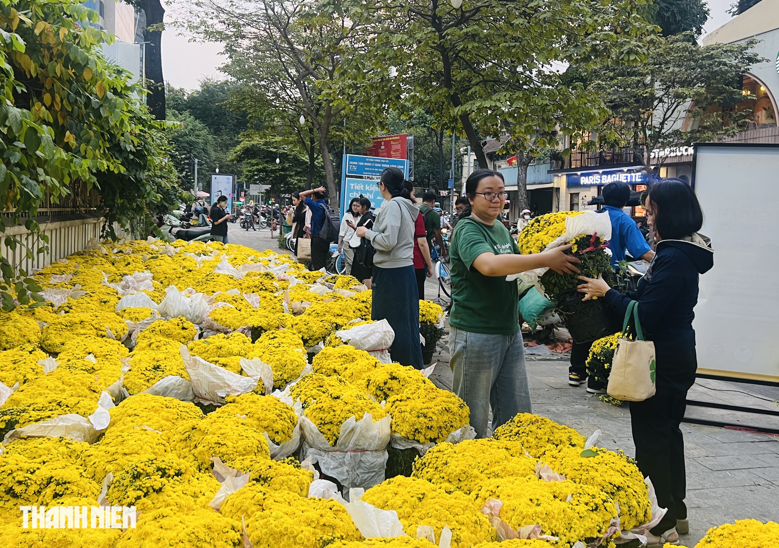 Người dân TP.HCM bất ngờ khi 1.000 chậu hoa tết được tặng miễn phí chiều nay- Ảnh 2. Người dân TP.HCM bất ngờ khi 1.000 chậu hoa tết được tặng miễn phí chiều nay- Ảnh 2.