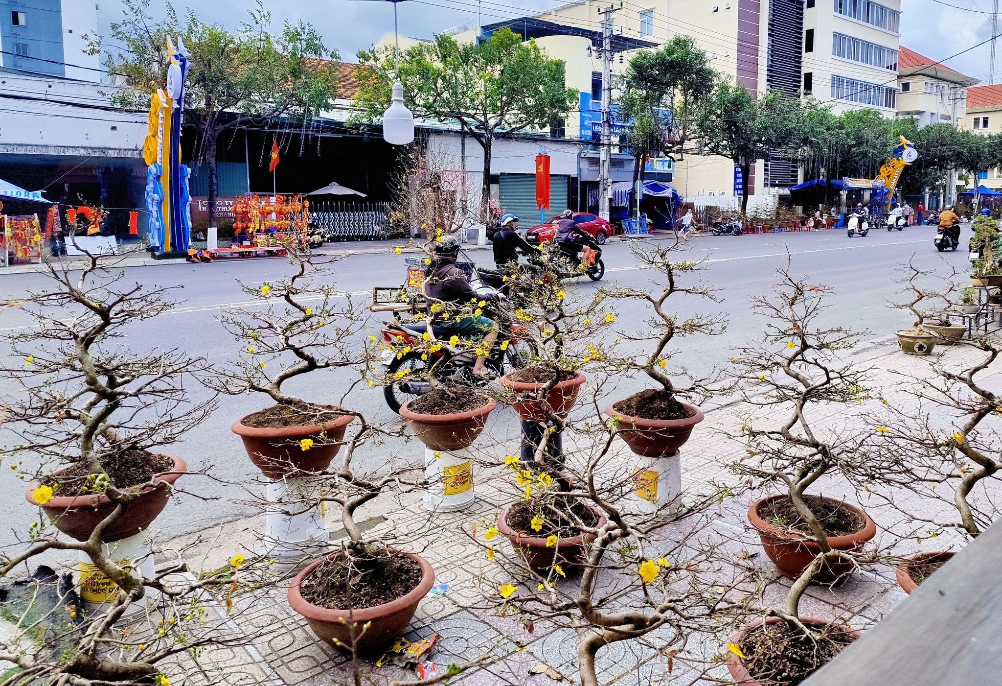 Khánh Hòa cho phép bán hoa tết trên vỉa hè- Ảnh 1. Khánh Hòa cho phép bán hoa tết trên vỉa hè- Ảnh 1.