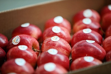 H&agrave;nh tr&igrave;nh 10.000 km của t&aacute;o Ph&aacute;p: Từ vườn ch&acirc;u &Acirc;u đến b&agrave;n ăn gia đ&igrave;nh Việt - Ảnh 2.