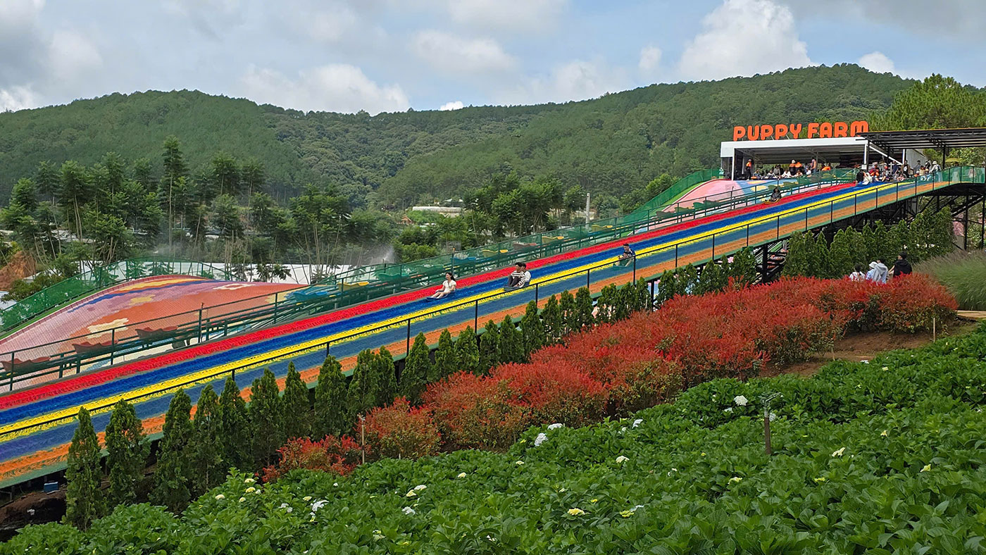 Nơi mùa xuân chạm vào từng giác quan- Ảnh 4.