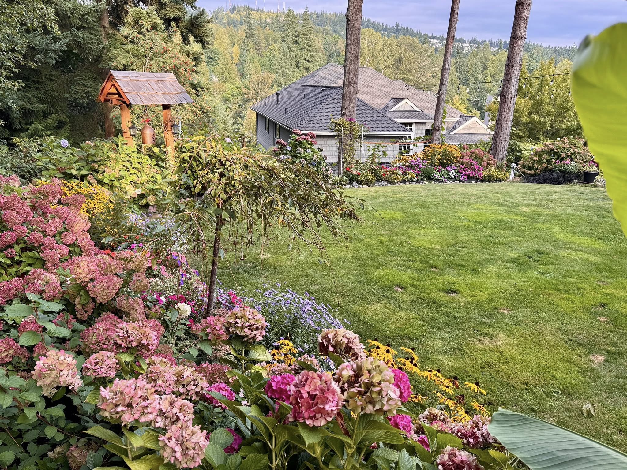 Người phụ nữ Việt ở Mỹ giỗ cha và đón tết bằng những món ăn quen thuộc - Ảnh 8.