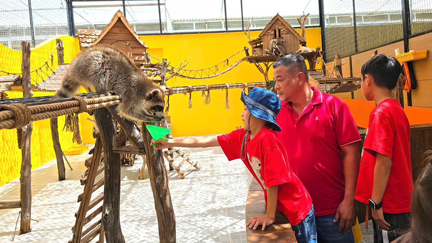 Nơi mùa xuân chạm vào từng giác quan- Ảnh 6.