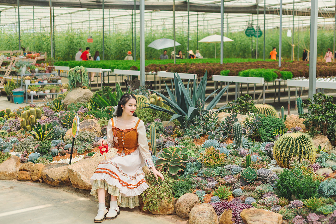 Nơi mùa xuân chạm vào từng giác quan- Ảnh 7.