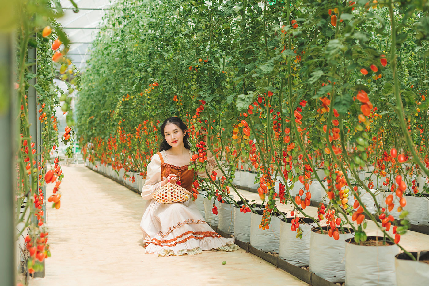 Nơi mùa xuân chạm vào từng giác quan- Ảnh 9.