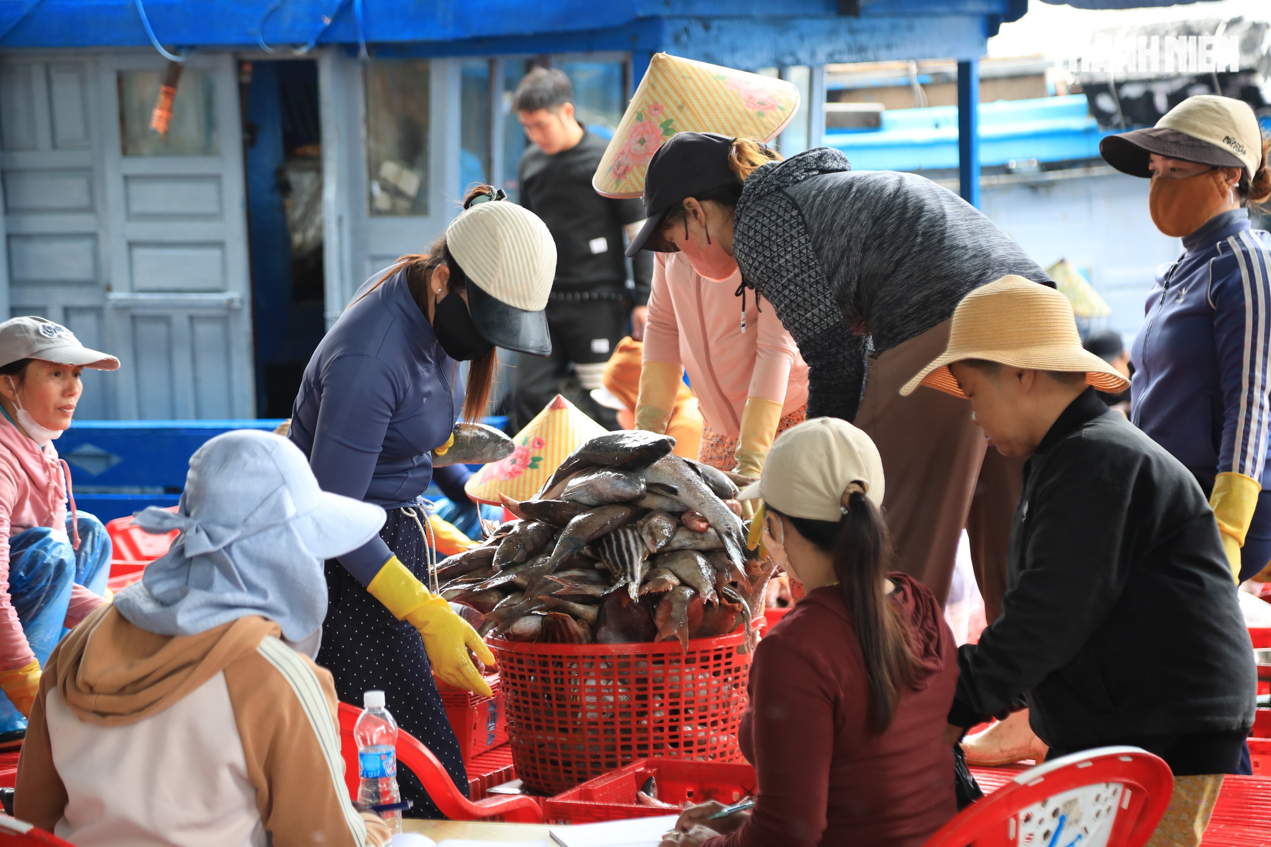 Cảng cá Quảng Ngãi rộn ràng phiên biển cuối năm: Mệt mấy cũng vui- Ảnh 5. Cảng cá Quảng Ngãi rộn ràng phiên biển cuối năm: Mệt mấy cũng vui- Ảnh 5.