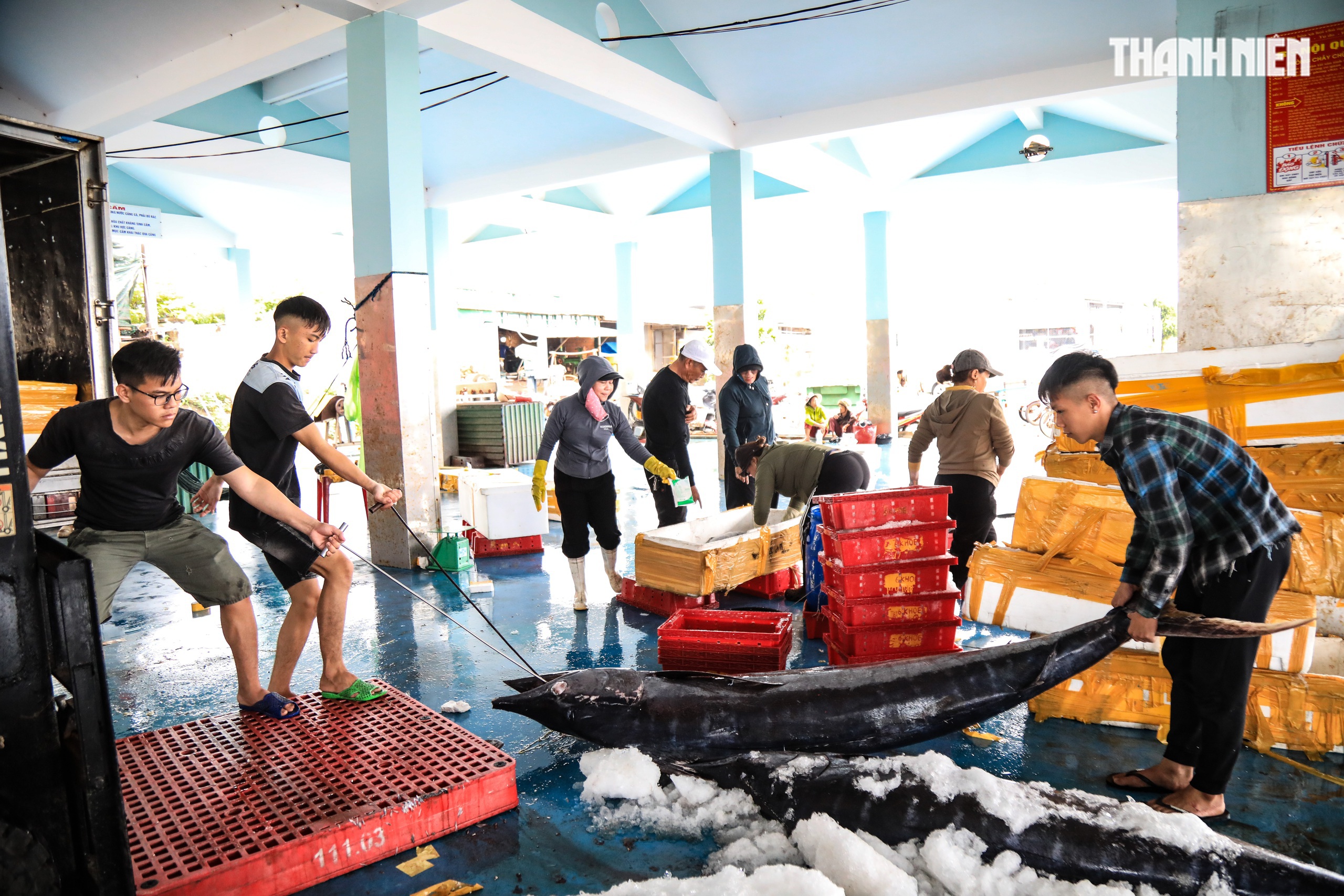 Cảng cá Quảng Ngãi rộn ràng phiên biển cuối năm: Mệt mấy cũng vui- Ảnh 1. Cảng cá Quảng Ngãi rộn ràng phiên biển cuối năm: Mệt mấy cũng vui- Ảnh 1.