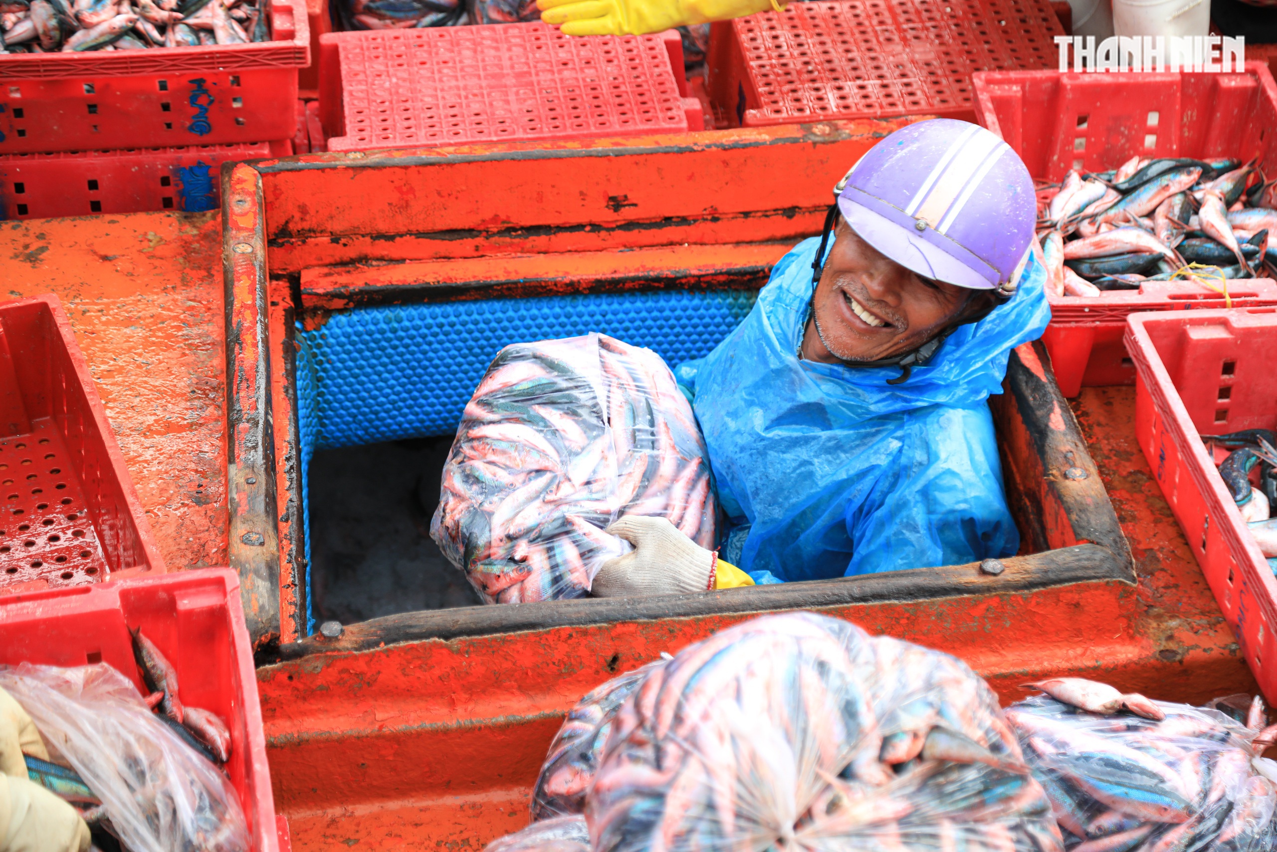 Cảng cá Quảng Ngãi rộn ràng phiên biển cuối năm: Mệt mấy cũng vui- Ảnh 10. Cảng cá Quảng Ngãi rộn ràng phiên biển cuối năm: Mệt mấy cũng vui- Ảnh 10.