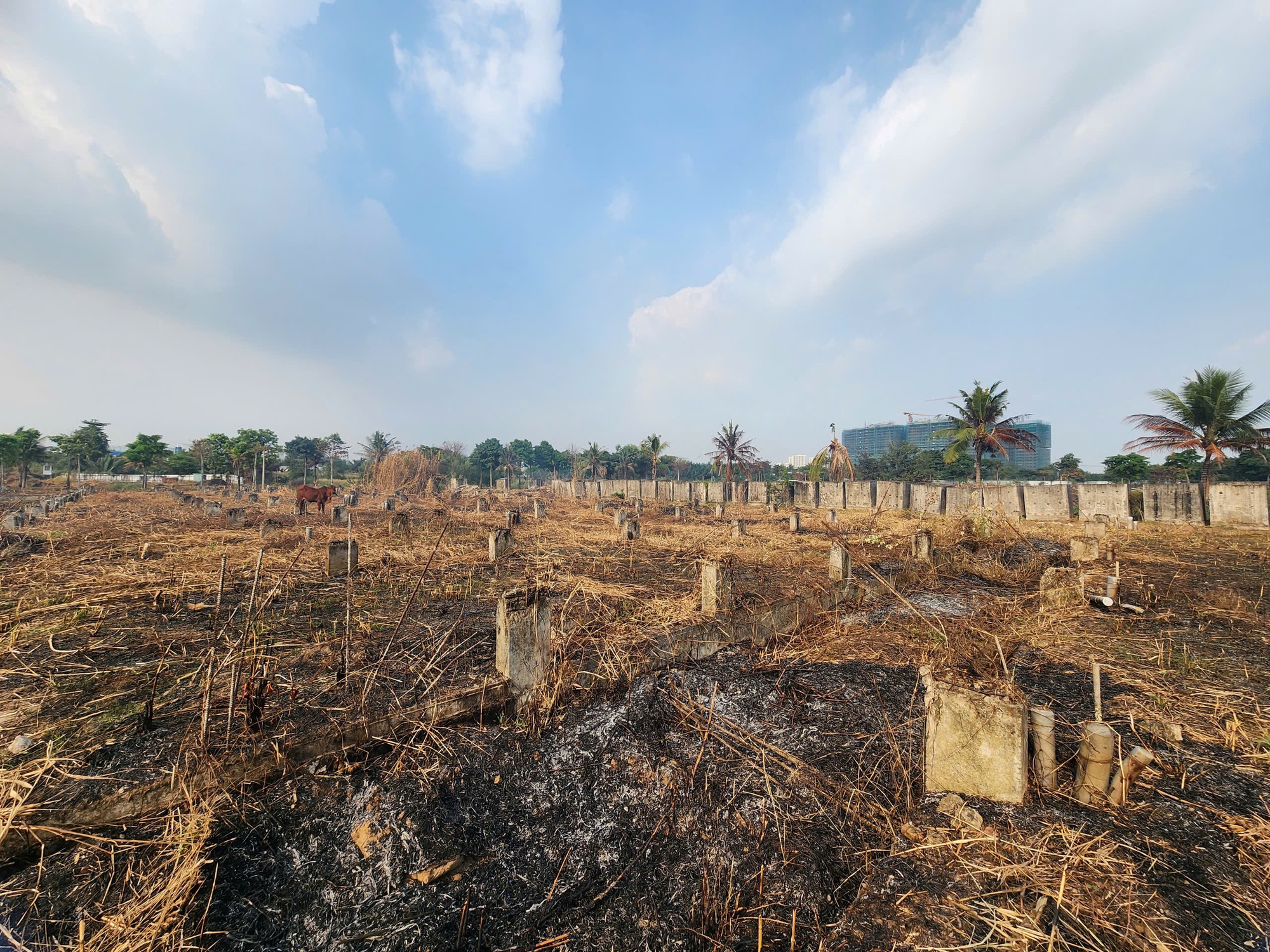 Để không bị lừa khi mua bán bất động sản, người dân cần đọc những điều này- Ảnh 1.