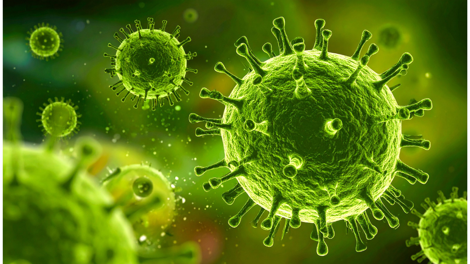 B&aacute;c sĩ ơi: Virus Nipah nguy hiểm, kh&ocirc;ng c&oacute; điều trị đặc hiệu nhưng kh&oacute; lan rộng - Ảnh 1.