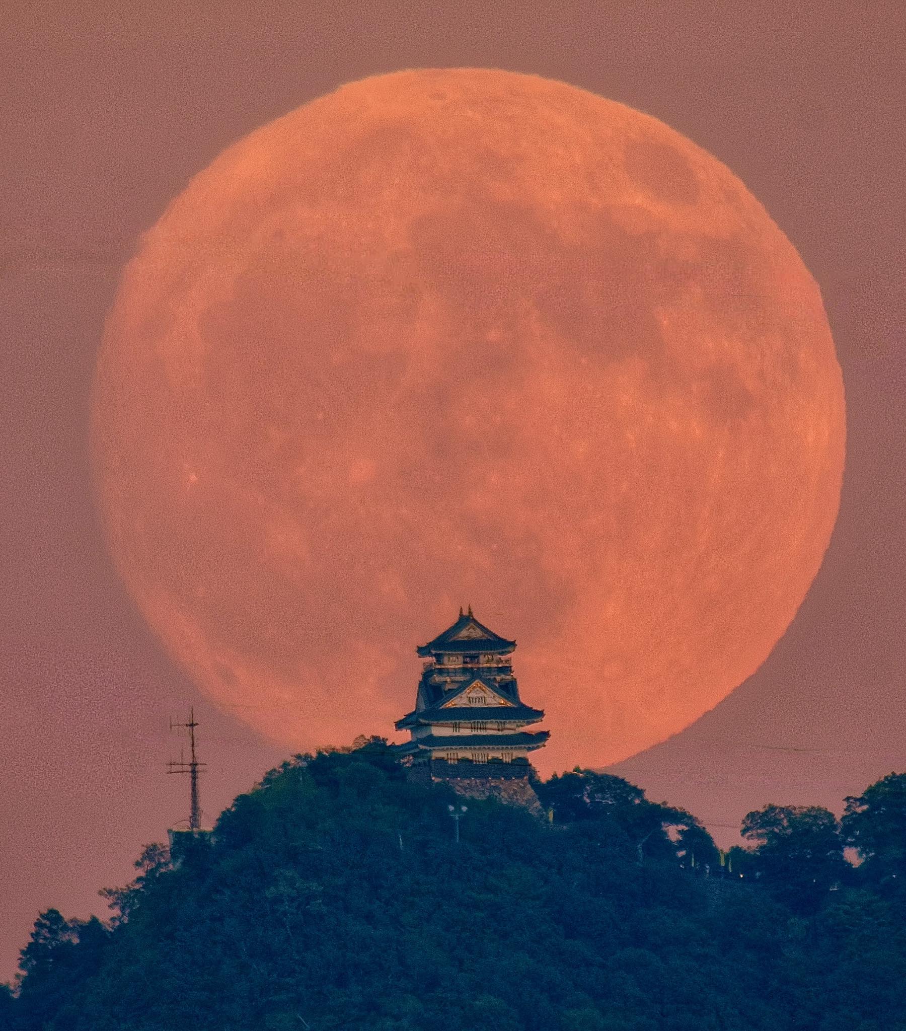 Tháng 2 bắt đầu: Nhật thực, trăng tuyết cuối cùng năm Ất Tỵ sắp xuất hiện rồi! - Ảnh 1.