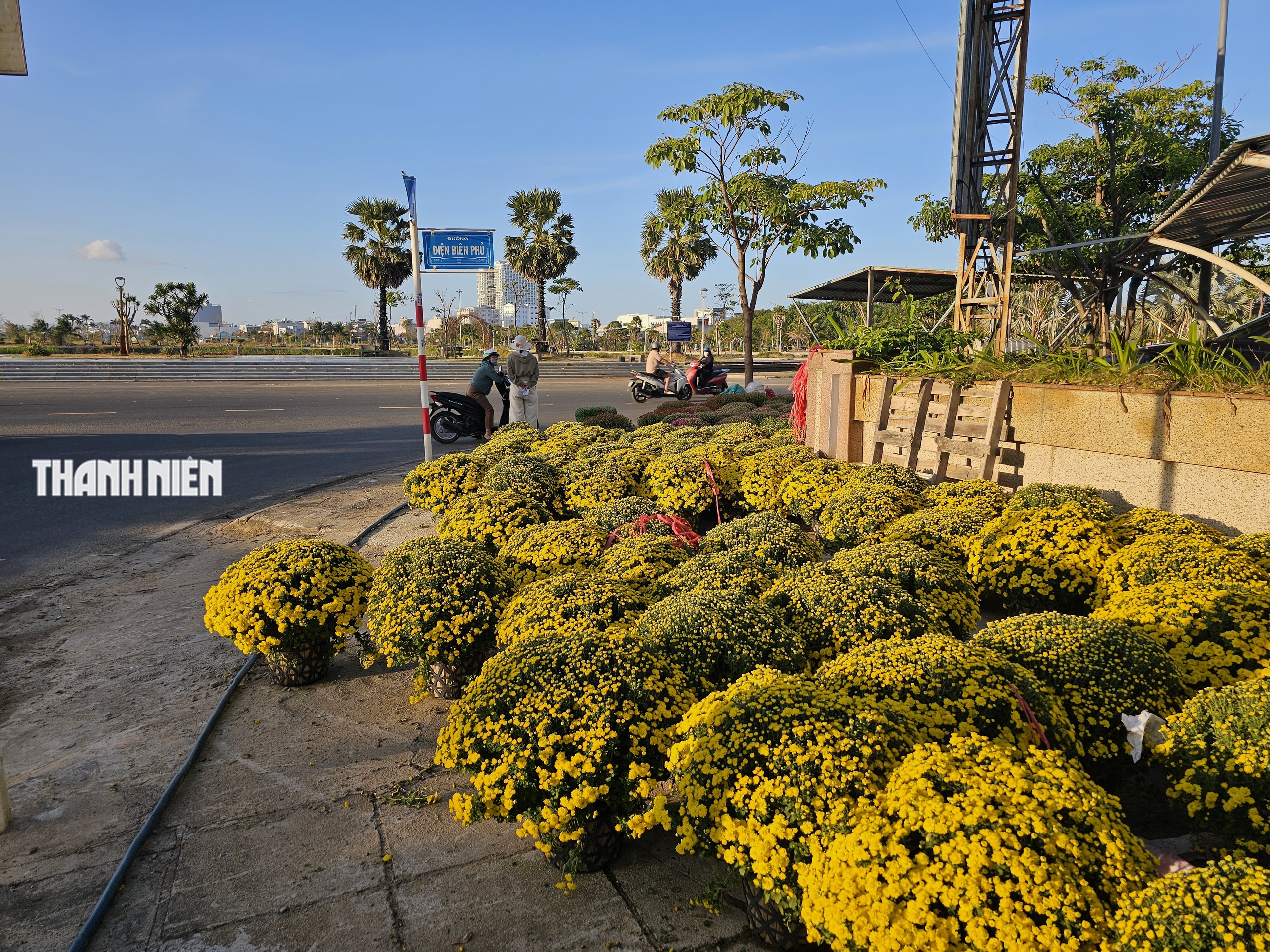 Hoa tết xuống phố: Nh&agrave; vườn giảm gi&aacute; chia sẻ c&ugrave;ng người d&acirc;n vui xu&acirc;n sau lũ - Ảnh 6.