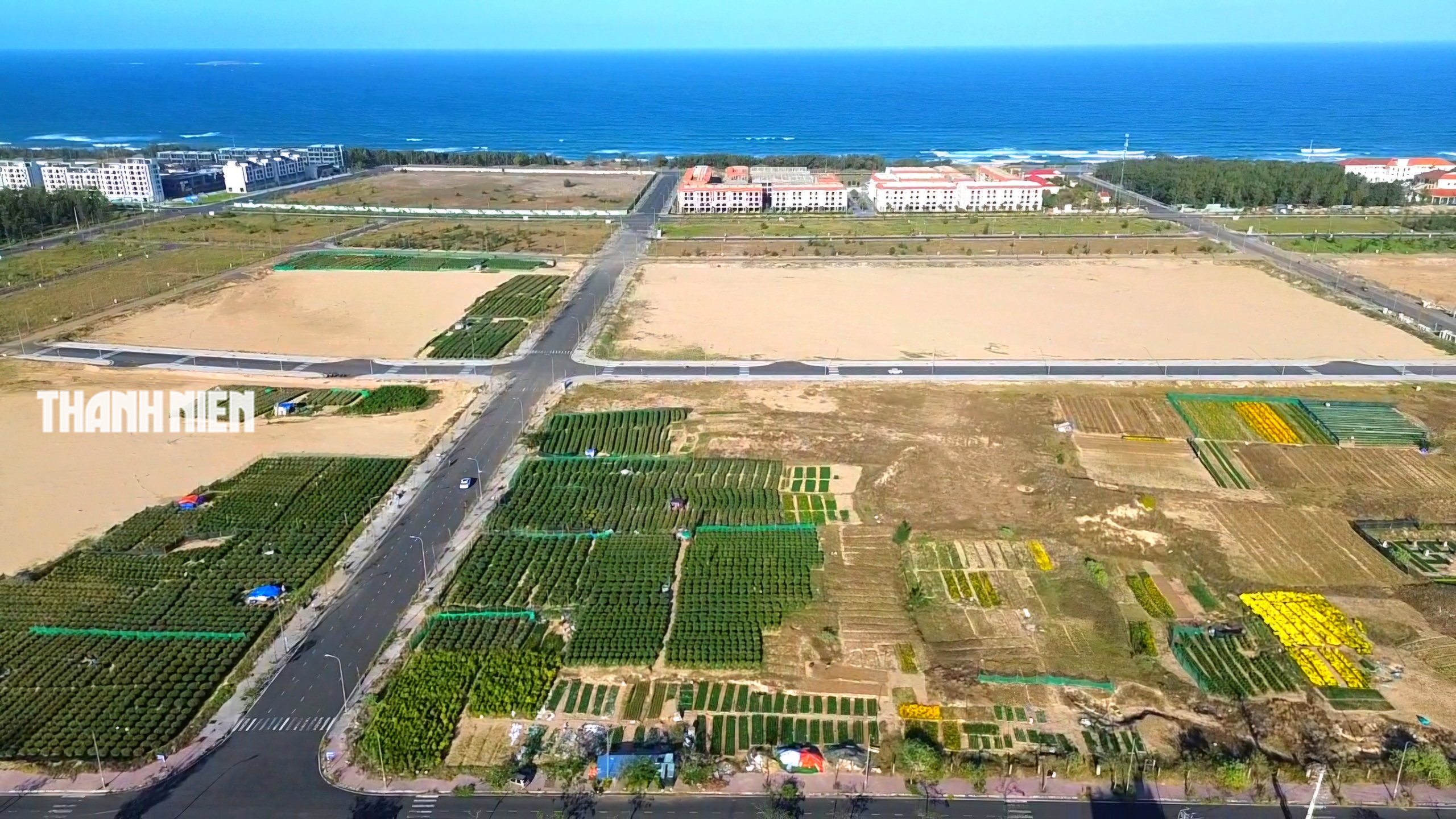 Hoa tết xuống phố: Nh&agrave; vườn giảm gi&aacute; chia sẻ c&ugrave;ng người d&acirc;n vui xu&acirc;n sau lũ - Ảnh 1.