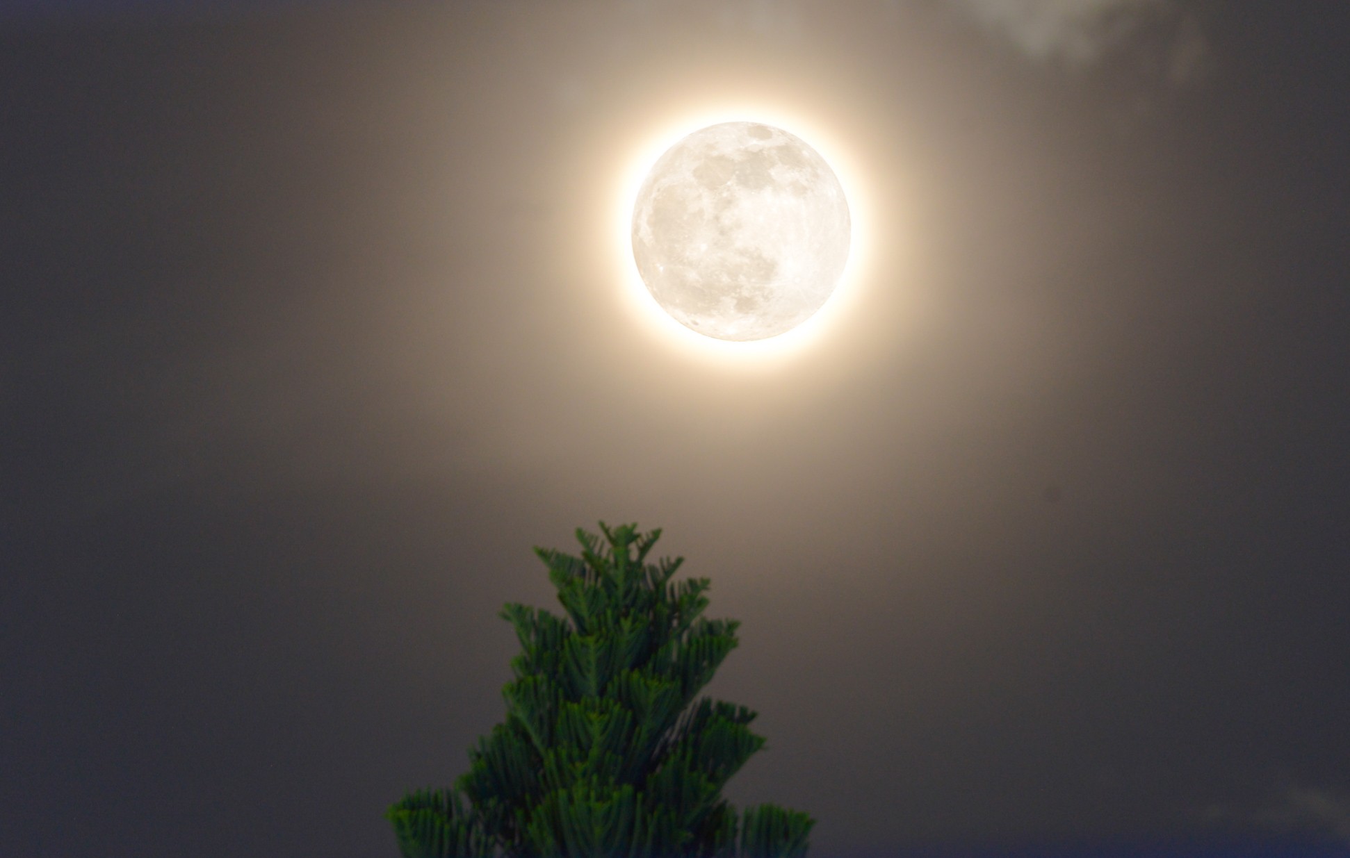 Si&ecirc;u trăng s&oacute;i vừa xuất hiện cực hiếm trong 113 năm: 2026 c&oacute; tới&hellip; 8 si&ecirc;u trăng! - Ảnh 1.