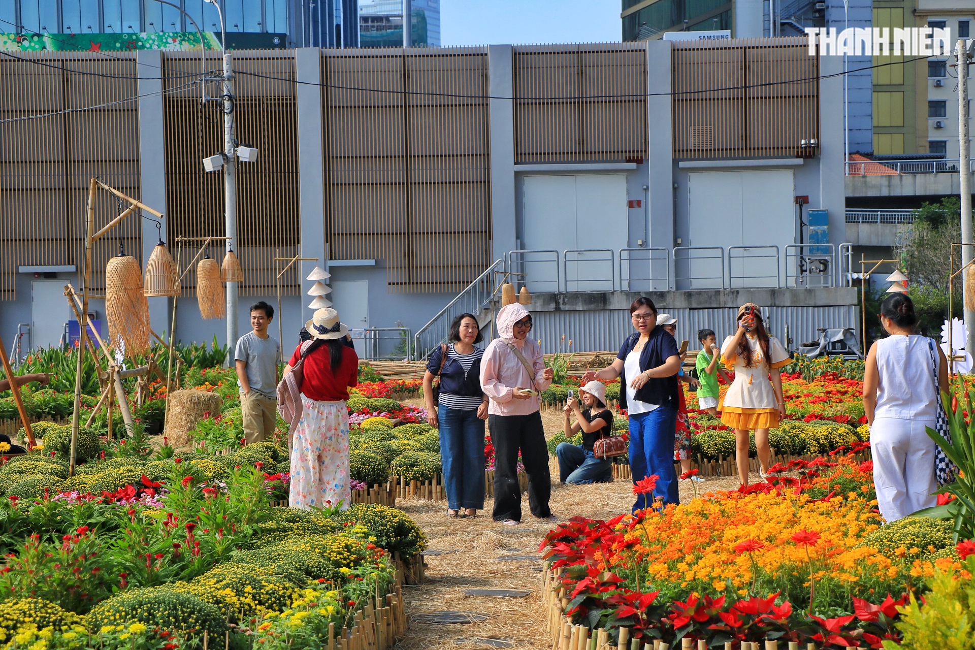 Vườn hoa tết 'mới toanh' g&acirc;y sốt ngay trung t&acirc;m TP.HCM: Đ&ocirc;ng người đổ về check-in- Ảnh 11.