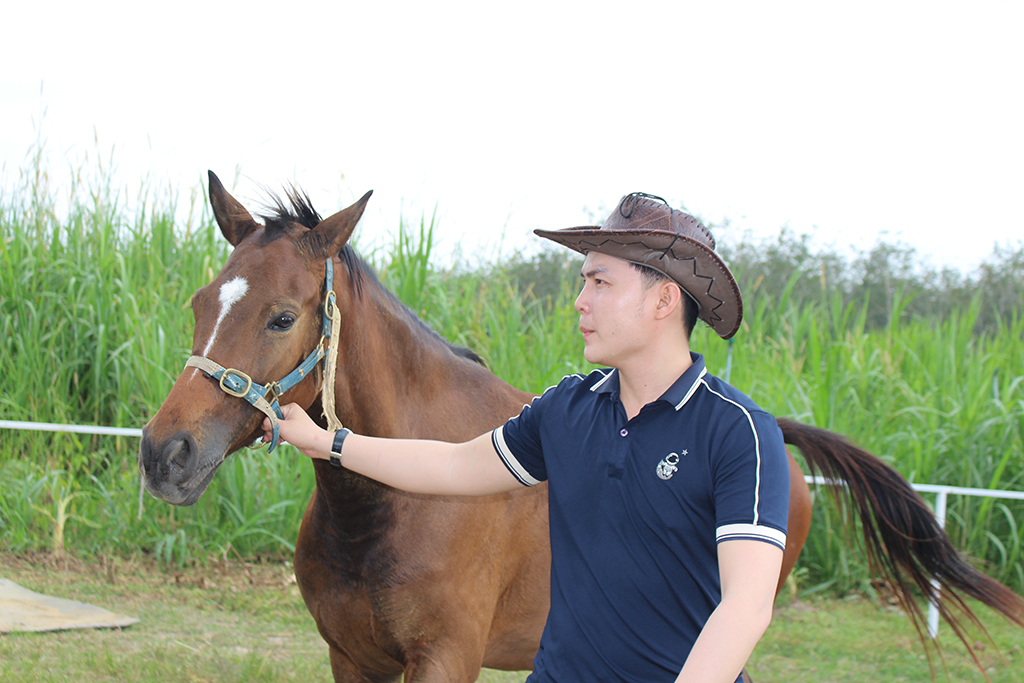 Trang trại ngựa quý trên đất Tây Ninh- Ảnh 10.