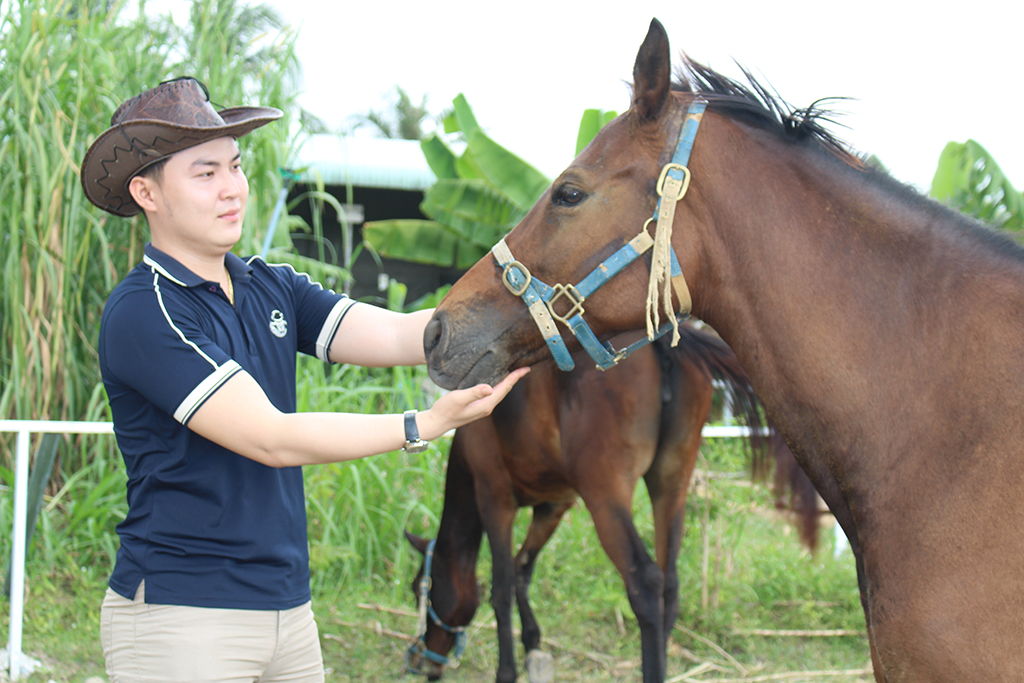 Trang trại ngựa quý trên đất Tây Ninh- Ảnh 4.