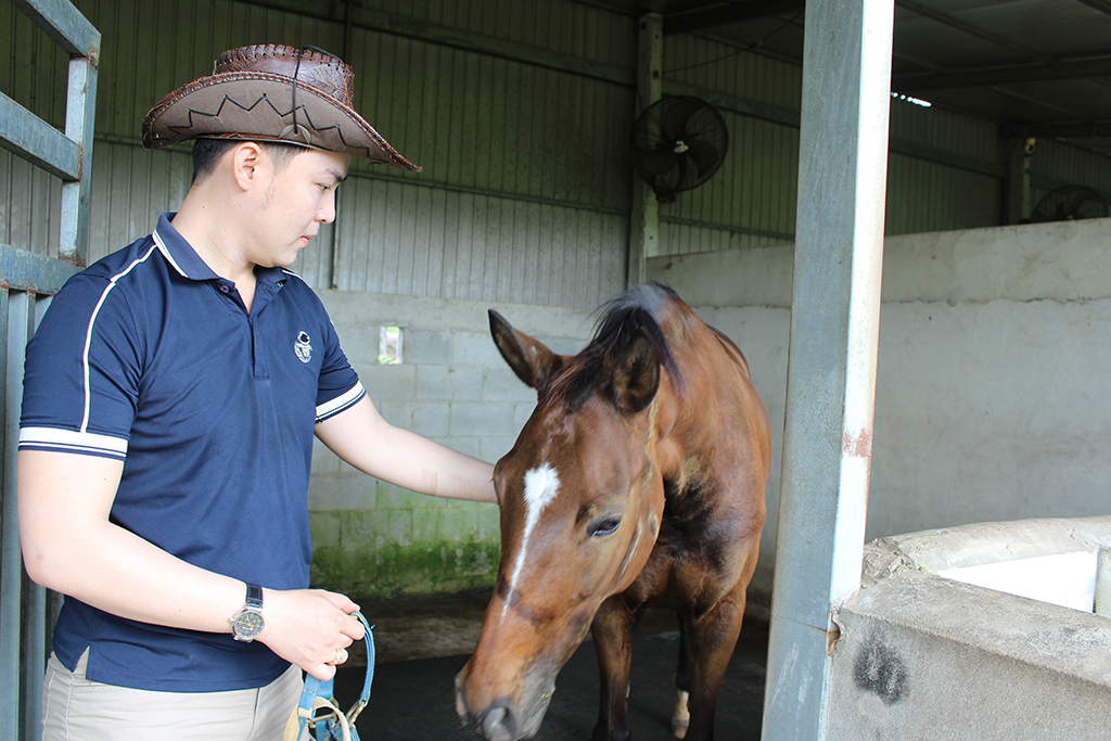 Trang trại ngựa quý trên đất Tây Ninh- Ảnh 6.