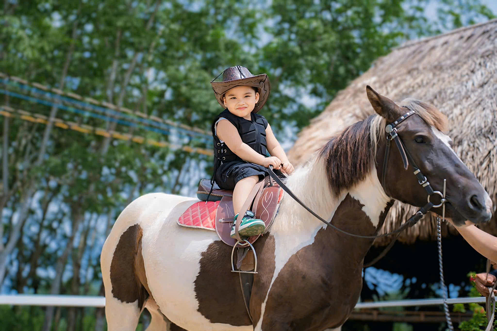 Trang trại ngựa quý trên đất Tây Ninh- Ảnh 8.