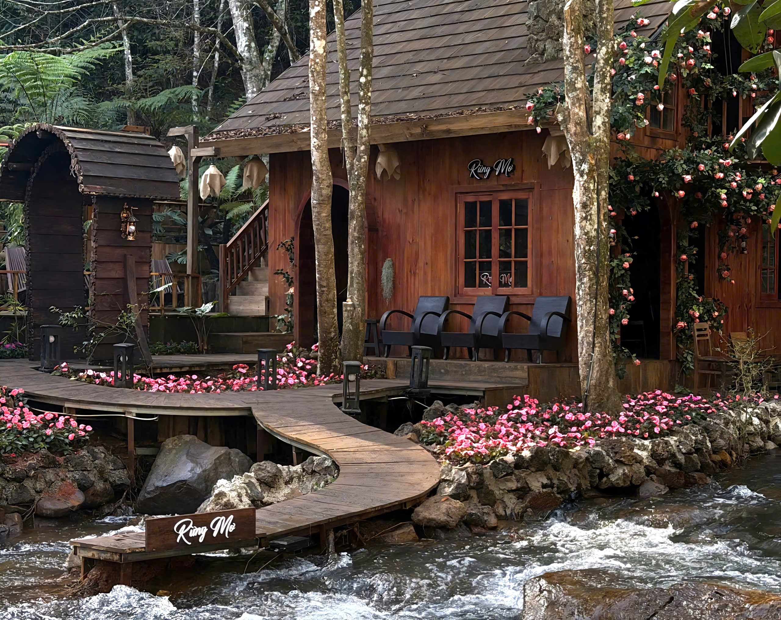 Hấp dẫn… Rừng Mơ- Ảnh 2.