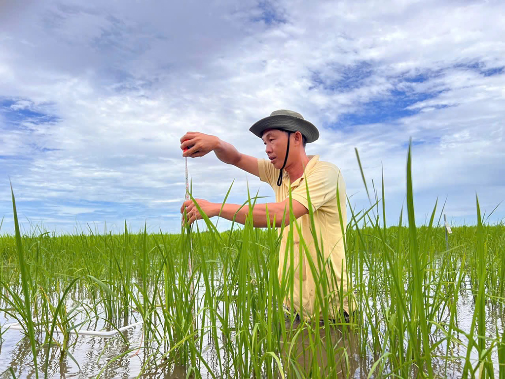 Người 'lội ngược dòng' trong chọn tạo giống lúa - Ảnh 5.