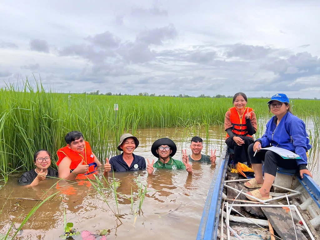 Người 'lội ngược dòng' trong chọn tạo giống lúa - Ảnh 6.