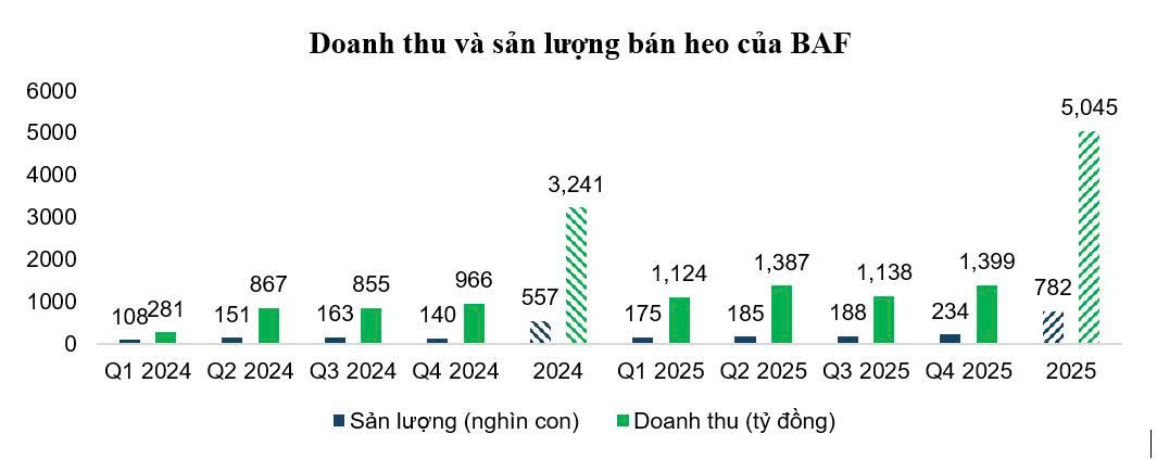 BAF Việt Nam: Cơ hội 'lội ngược dòng' sau chu kỳ biến động  của ngành chăn nuôi- Ảnh 1.