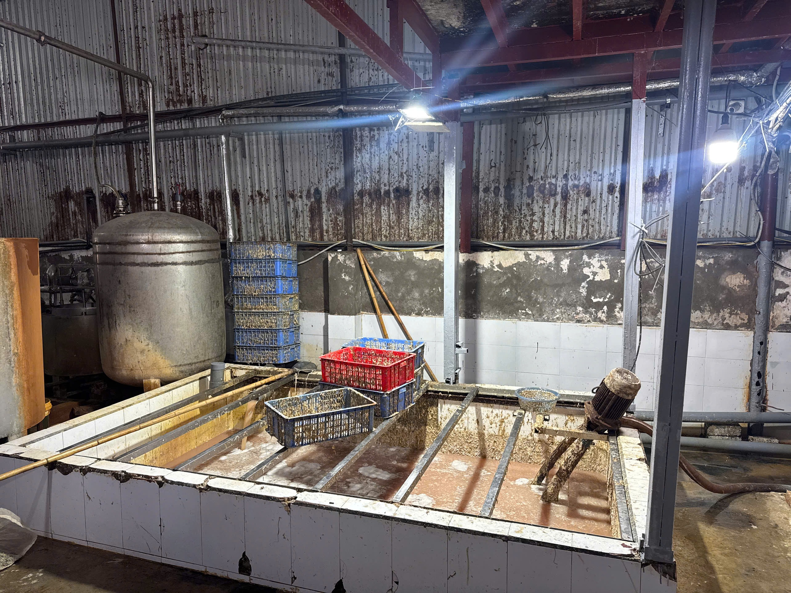 Công an Hà Nội thu hơn 60 tấn lòng lợn bẩn tại Công ty Dũng Phát- Ảnh 11.