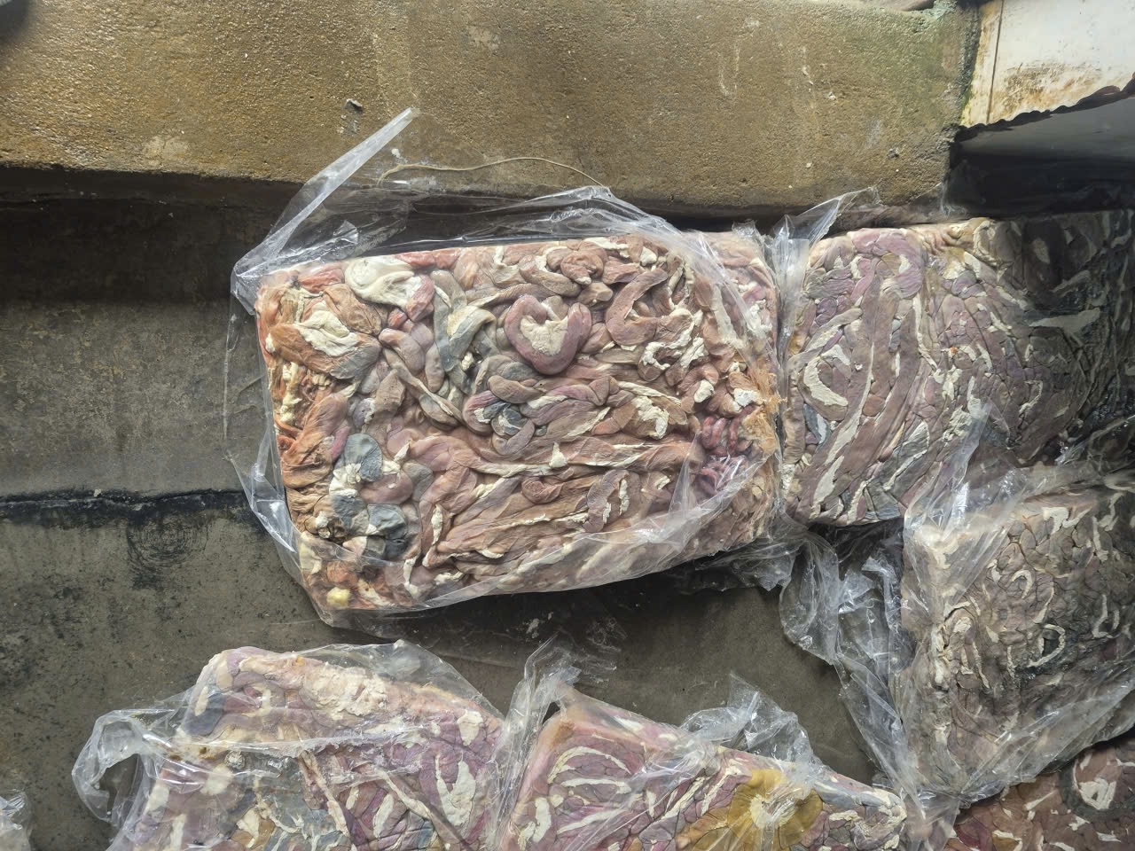 Công an Hà Nội thu hơn 60 tấn lòng lợn bẩn tại Công ty Dũng Phát- Ảnh 6.