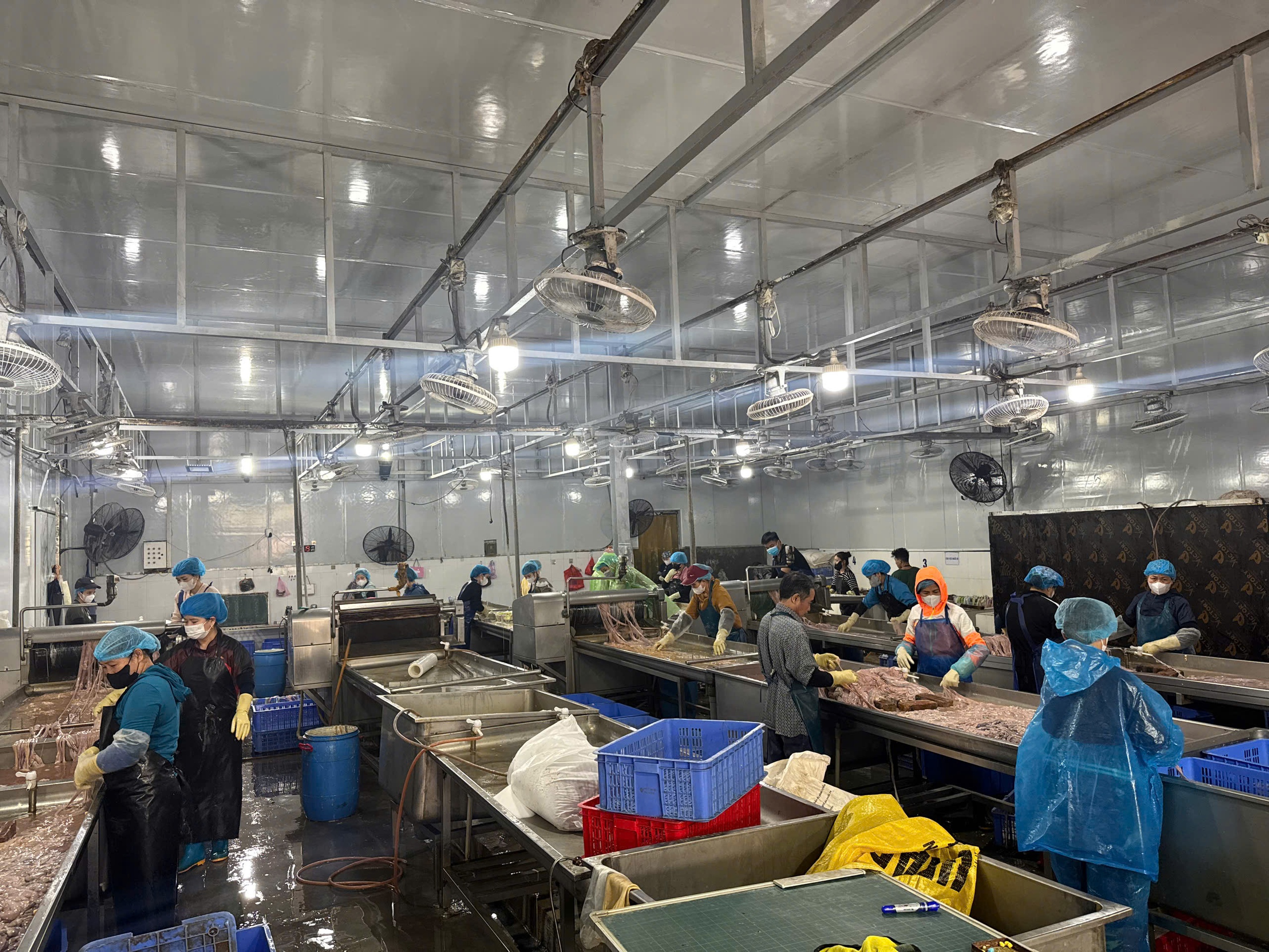 Công an Hà Nội thu hơn 60 tấn lòng lợn bẩn tại Công ty Dũng Phát- Ảnh 9.