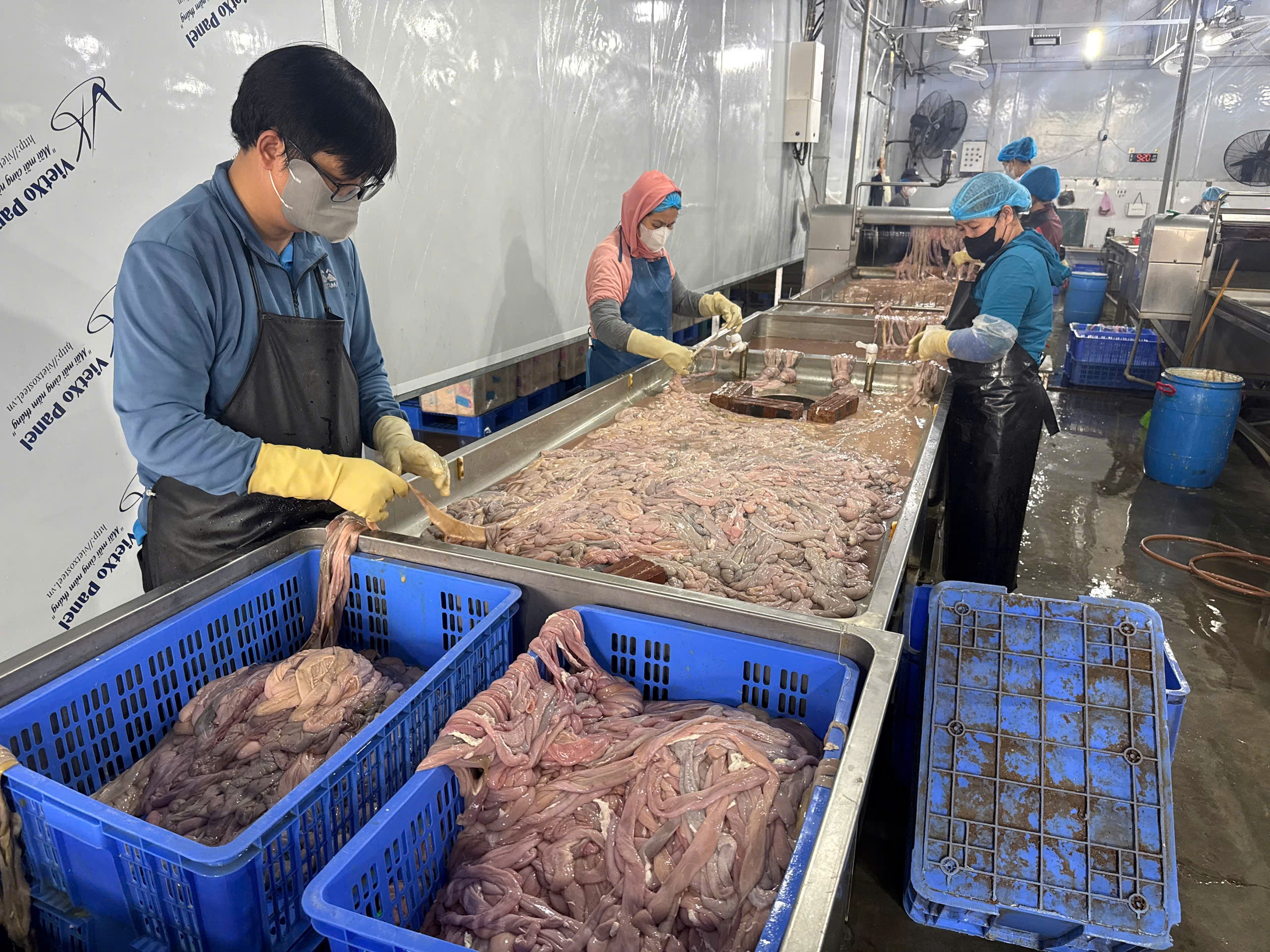 Công an Hà Nội thu hơn 60 tấn lòng lợn bẩn tại Công ty Dũng Phát- Ảnh 10.