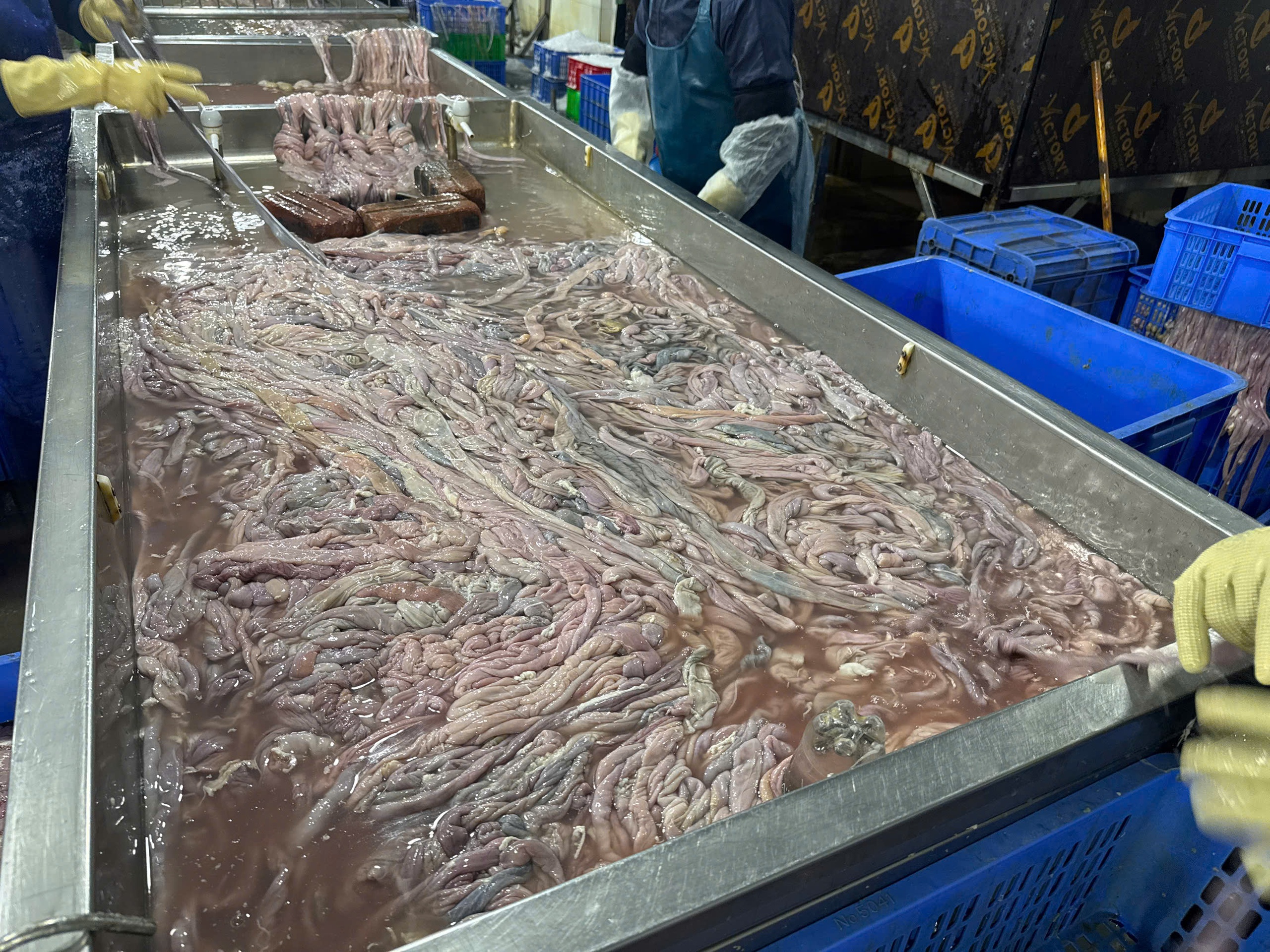 Công an Hà Nội thu hơn 60 tấn lòng lợn bẩn tại Công ty Dũng Phát- Ảnh 12.